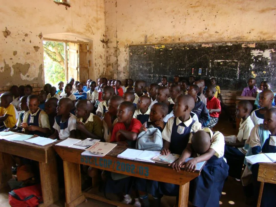 p31.jpg