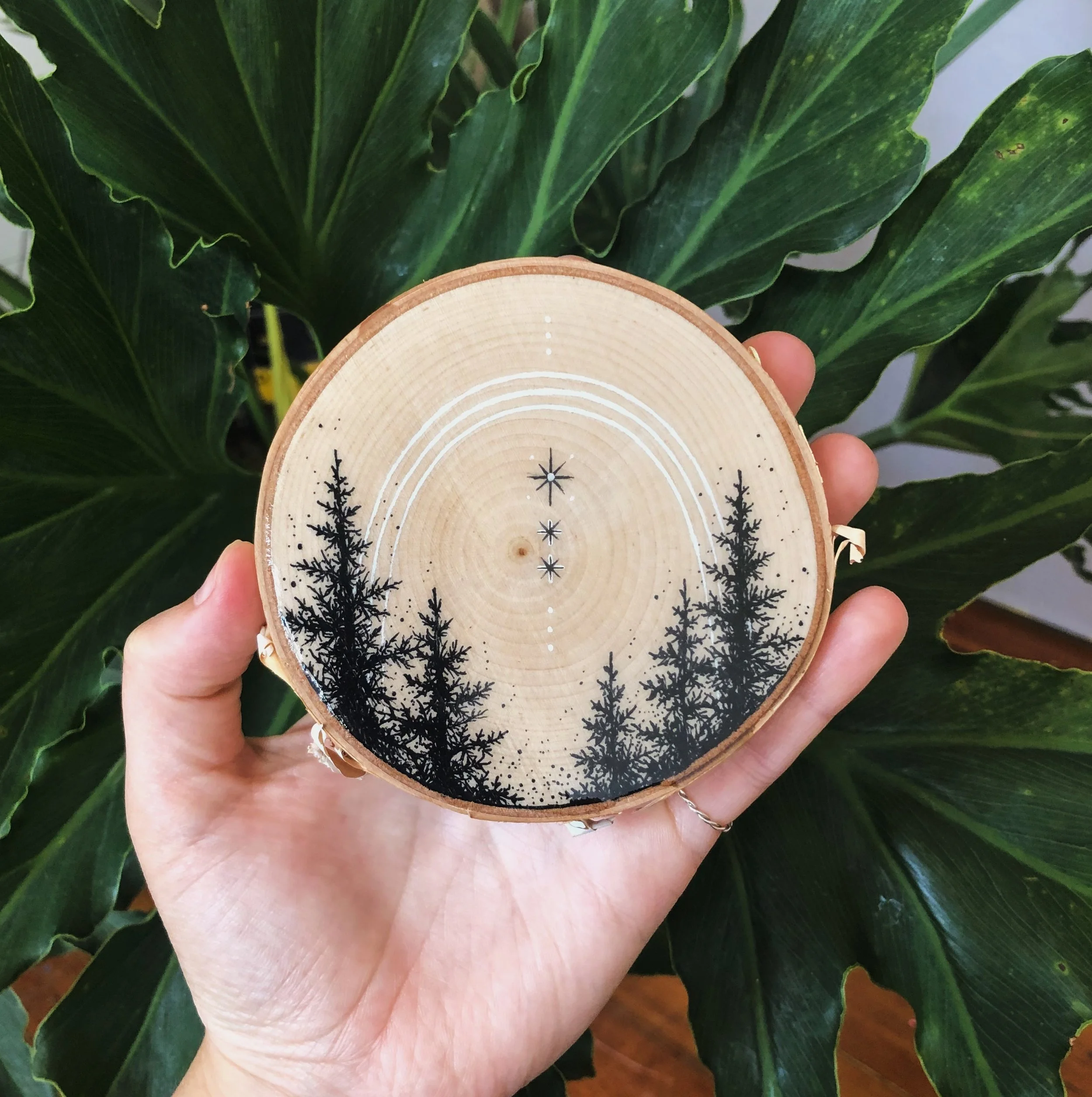 47FF9FCD-A567-4471-A71E-E5BF17BD6718