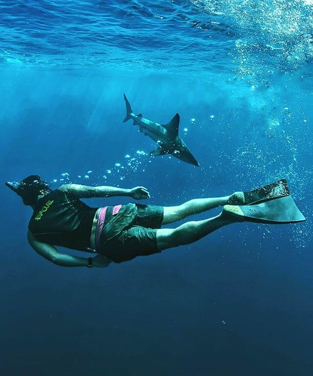 Loving this shot of @markyboypirate 🙌🏾 Be sure to tag us in your photos, and be sure to book a photo package ahead of time online if you&rsquo;re keen to get captures of a lifetime! #IslandviewHawaii #Pelagic #Hawaii