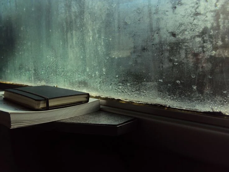 c88644a0856514f3fd6e39e63e7d3c27--rainy-mood-rainy-weather.jpg