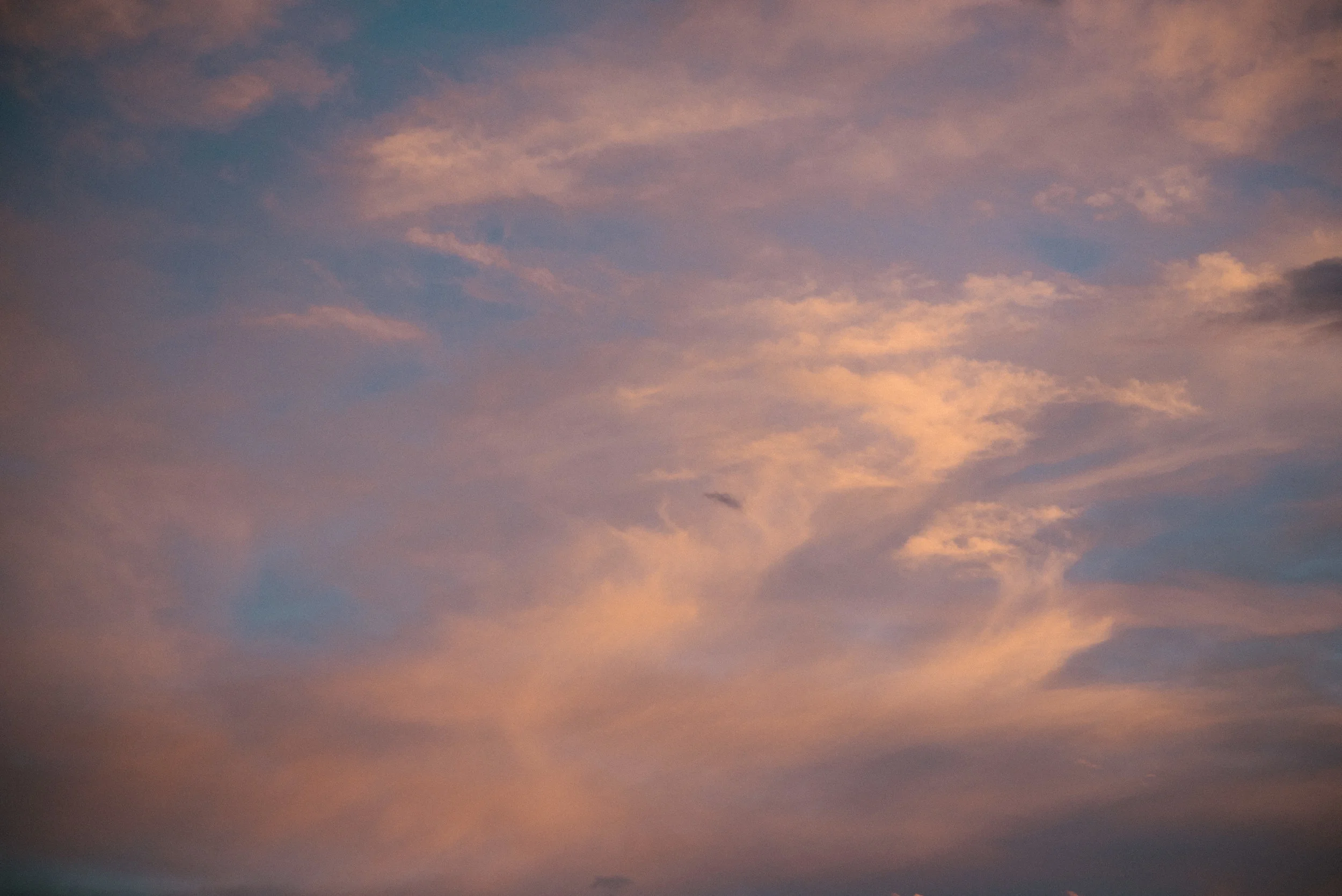 St. Eugene Cranbrook BC Wedding-242.jpg
