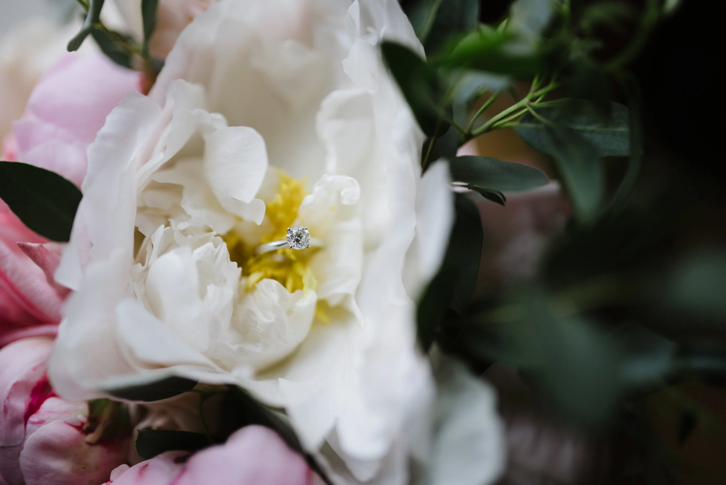 DSC_5611.jpg