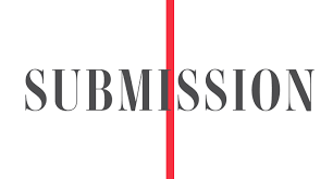 submission photo.png