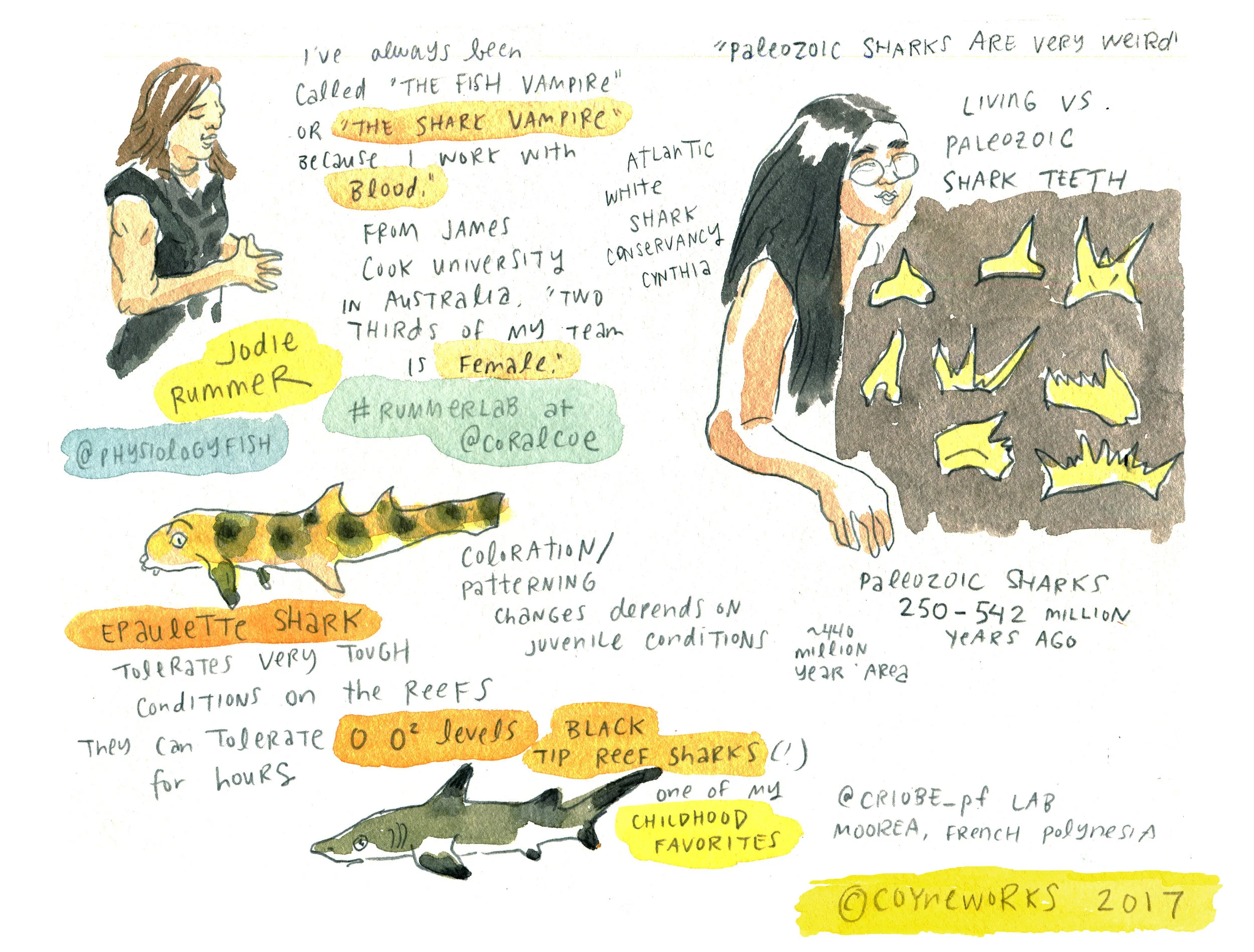 Shark Tales: Women Making Waves at the New England Aquarium