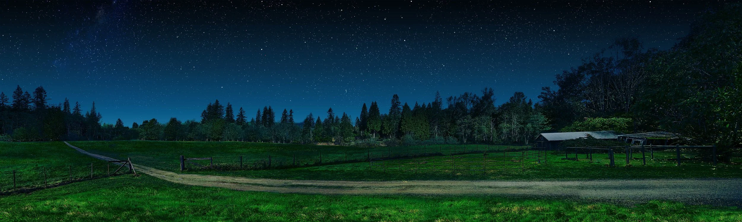 VR - Lilly's Backdrop_NIGHT.jpg