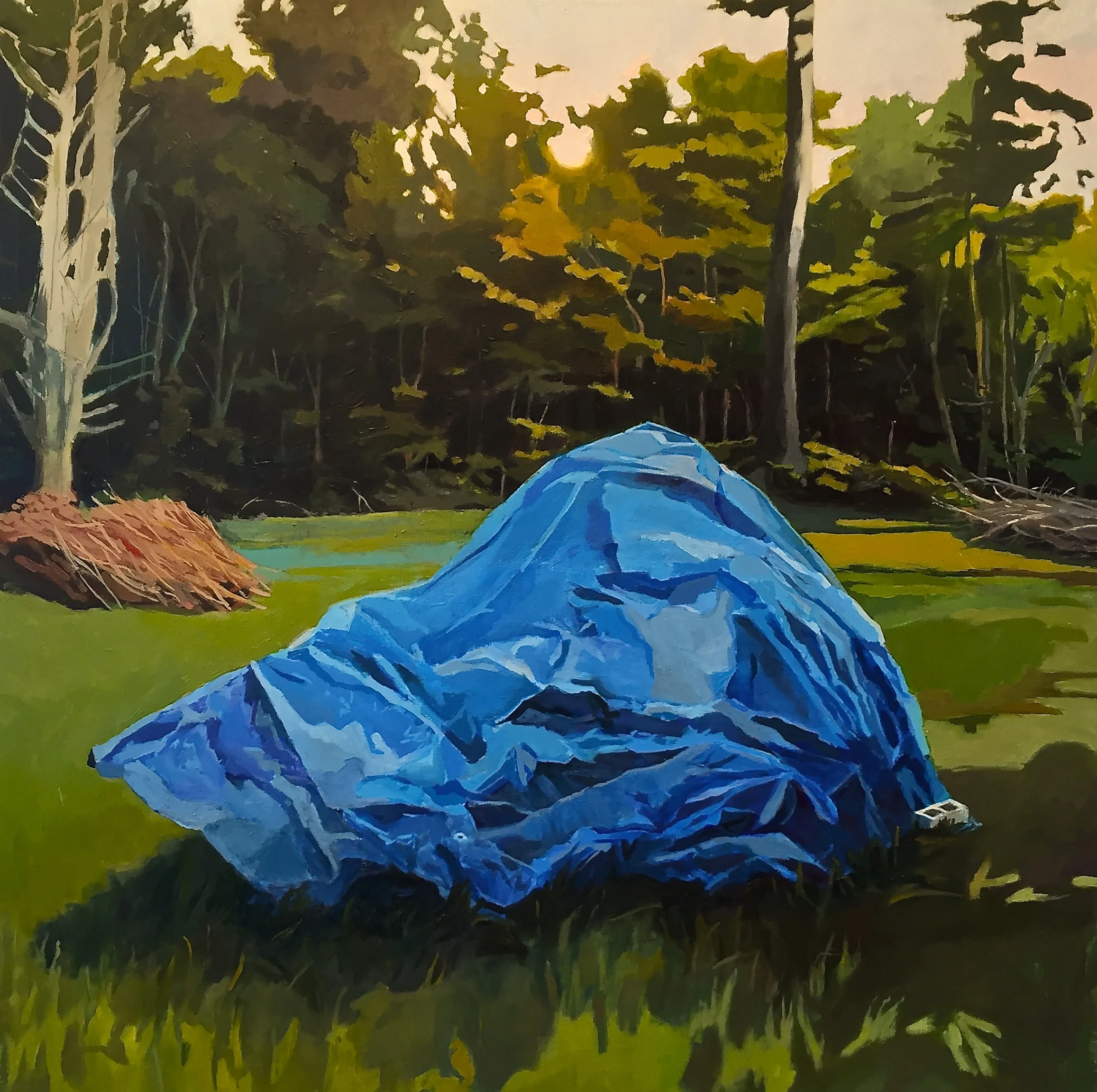 tennis mountain 2014 24" x 24" acrylic on panel
