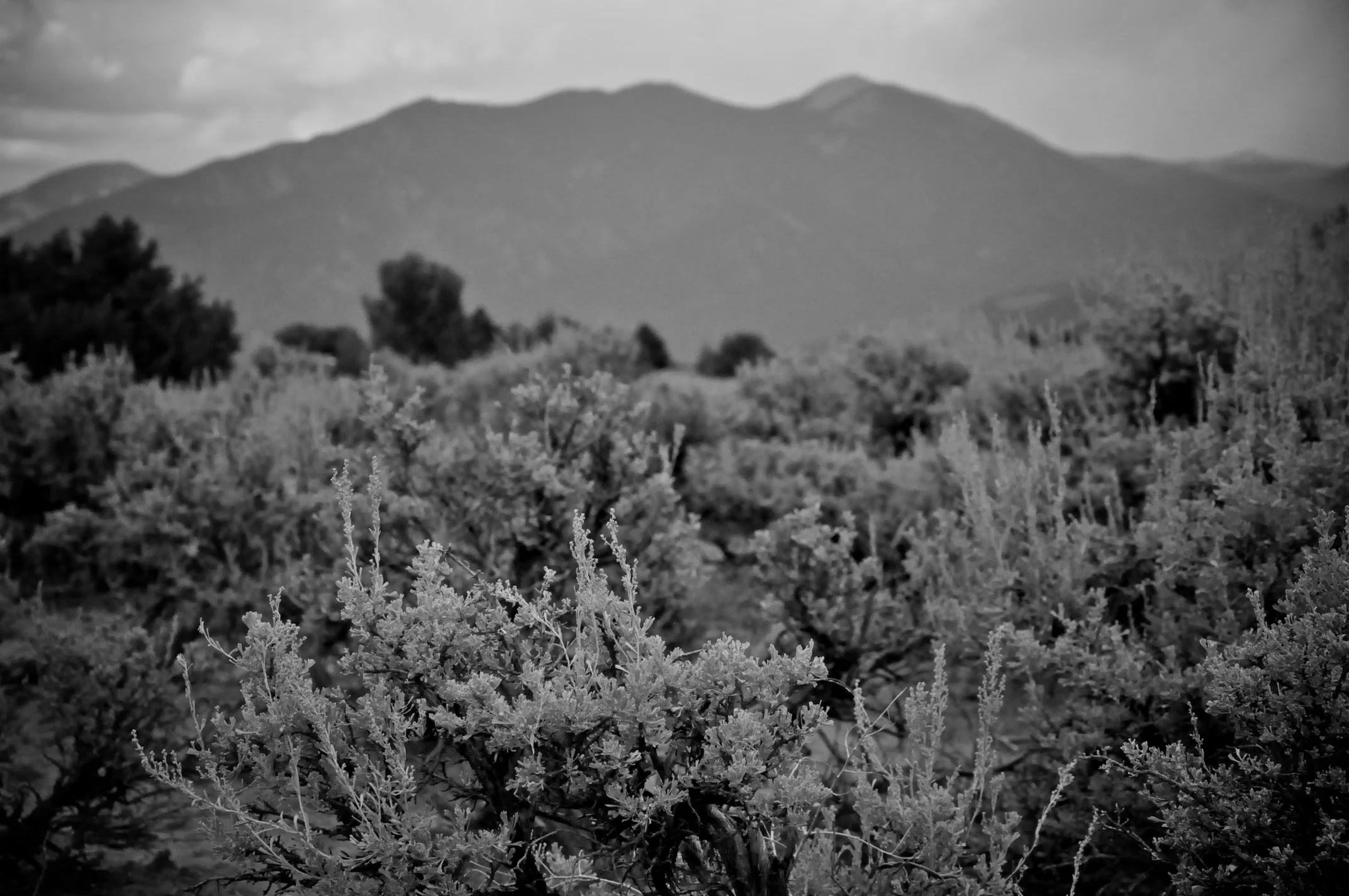 Taos, NM