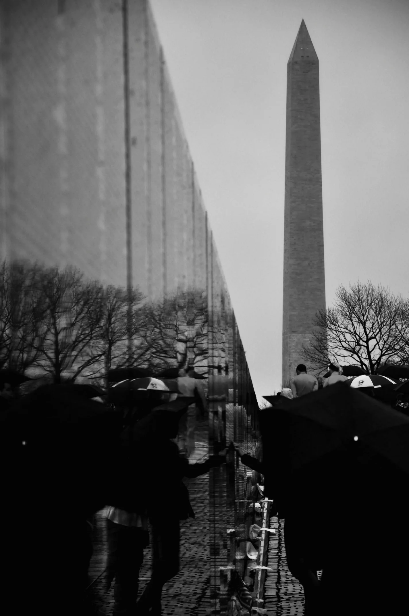 Washington D.C.
