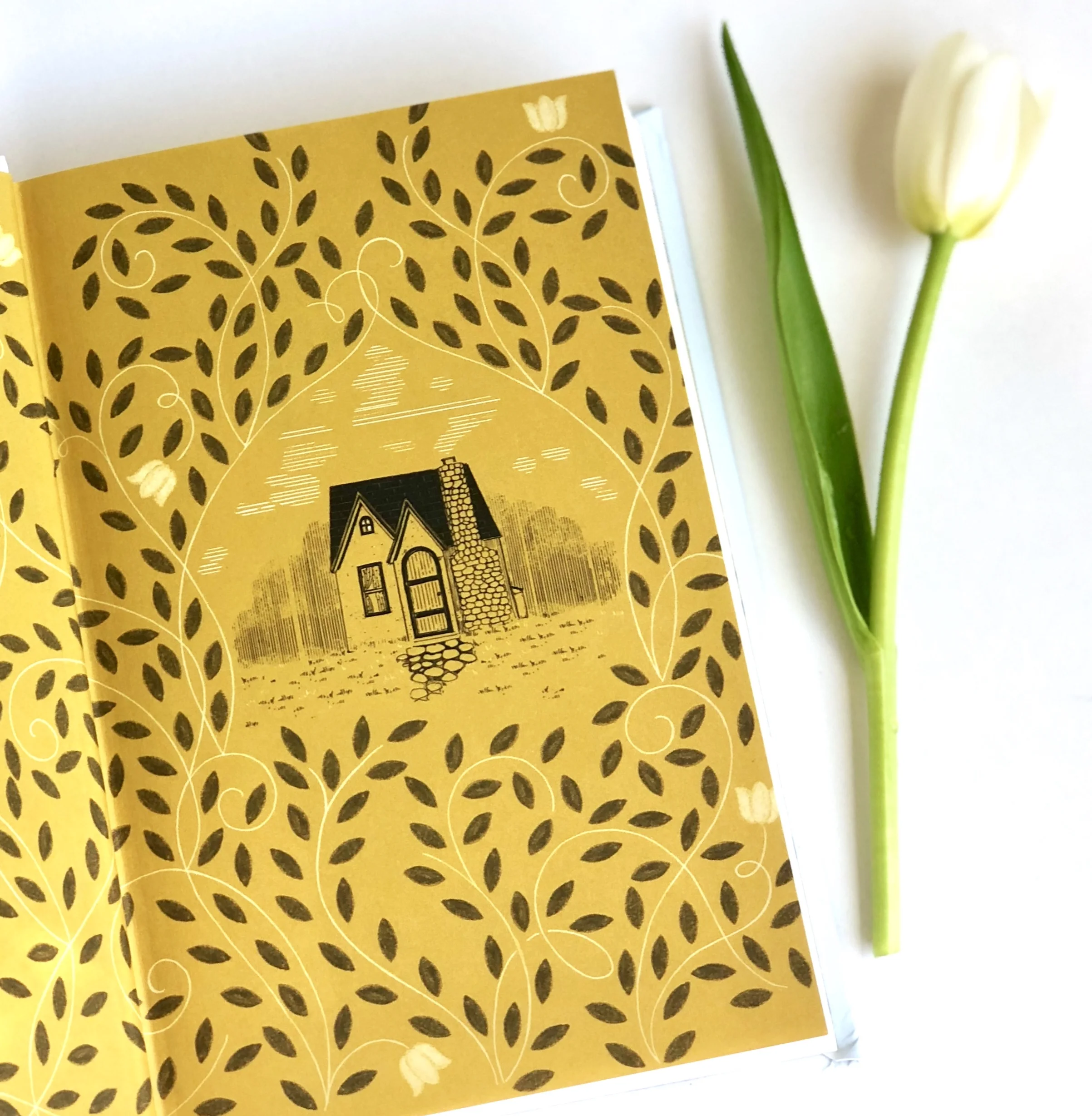 The end-papers in this book are so charming!