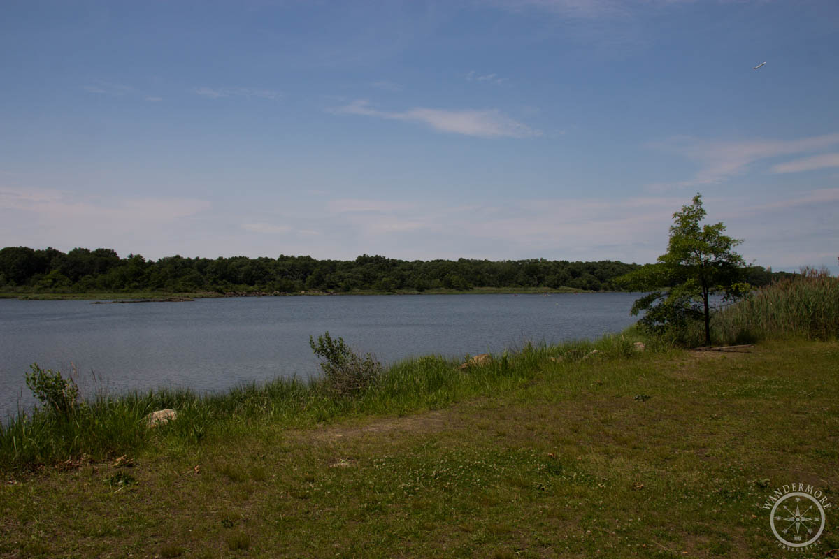 20150630-IMG_1564-18.jpg