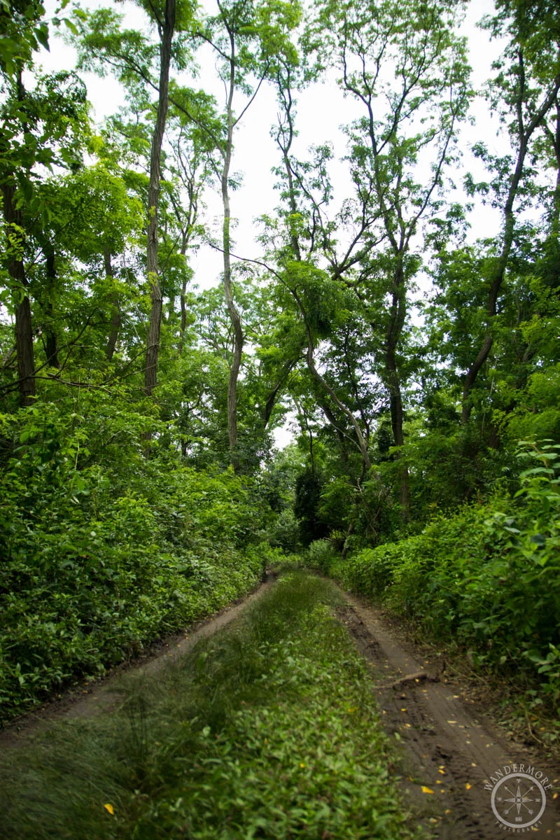 20150630-IMG_1523-5.jpg
