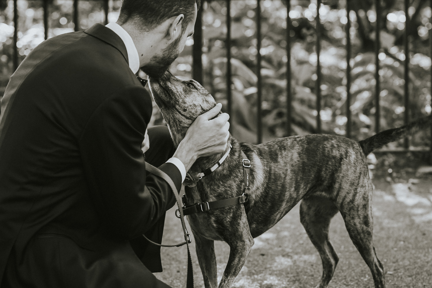 Jessie & Noah Dobbin Street Wedding Brooklyn NYC (26).jpg