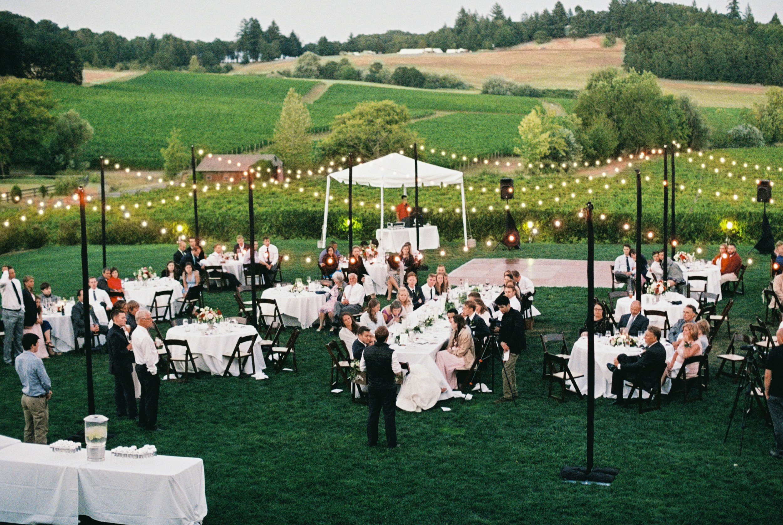 Alfresco Vineyard.jpg