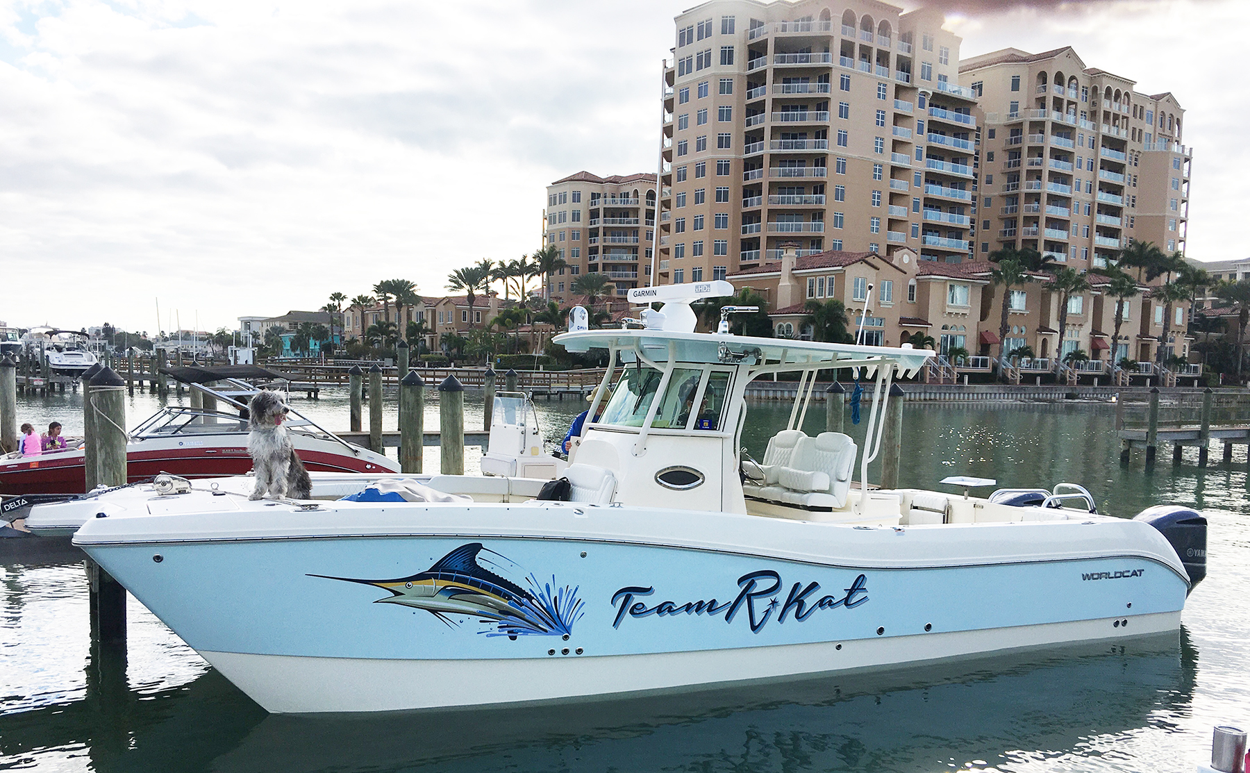 Team R-Kat Boat Graphics
