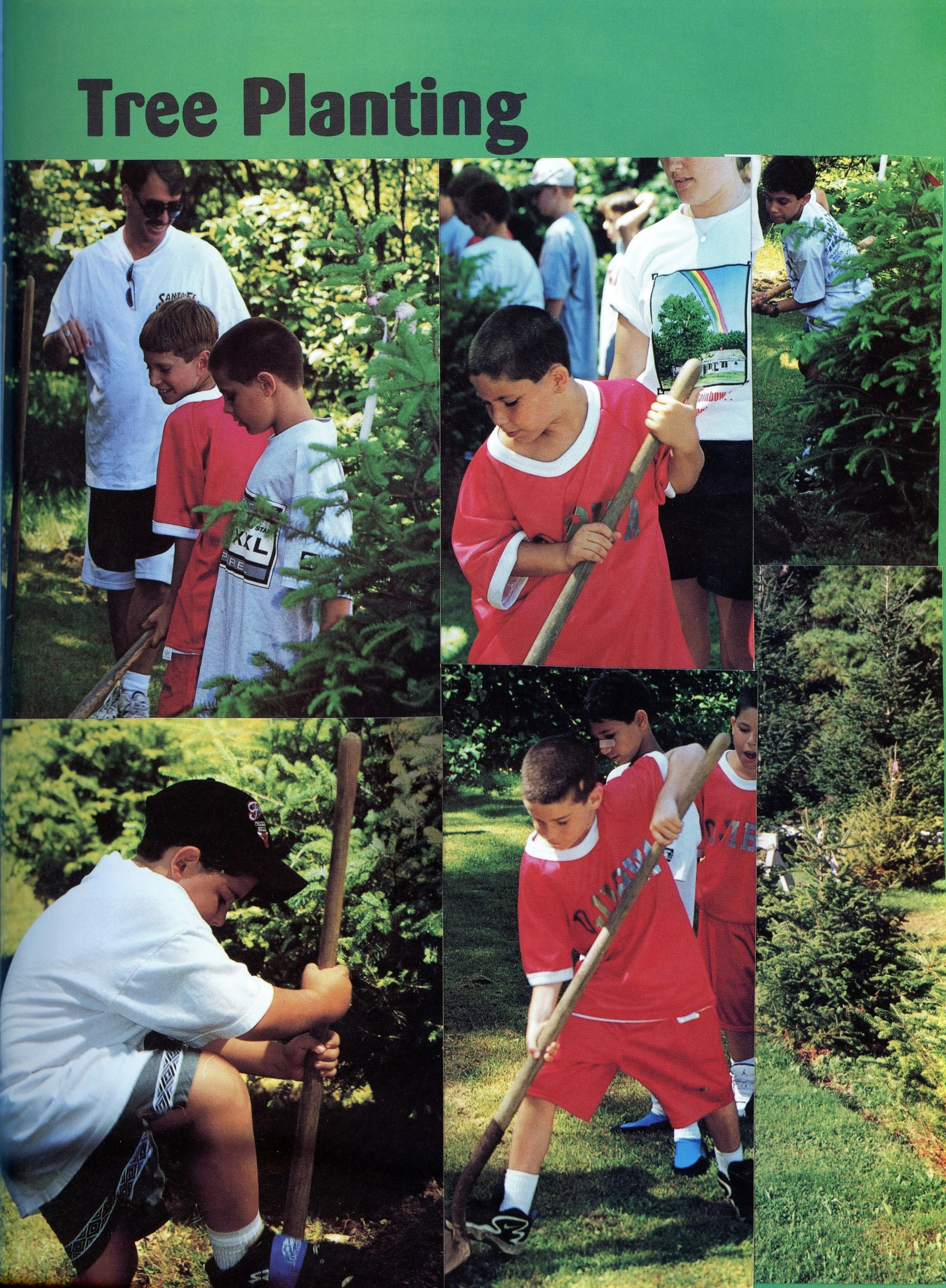 Warrior 1998014.jpg