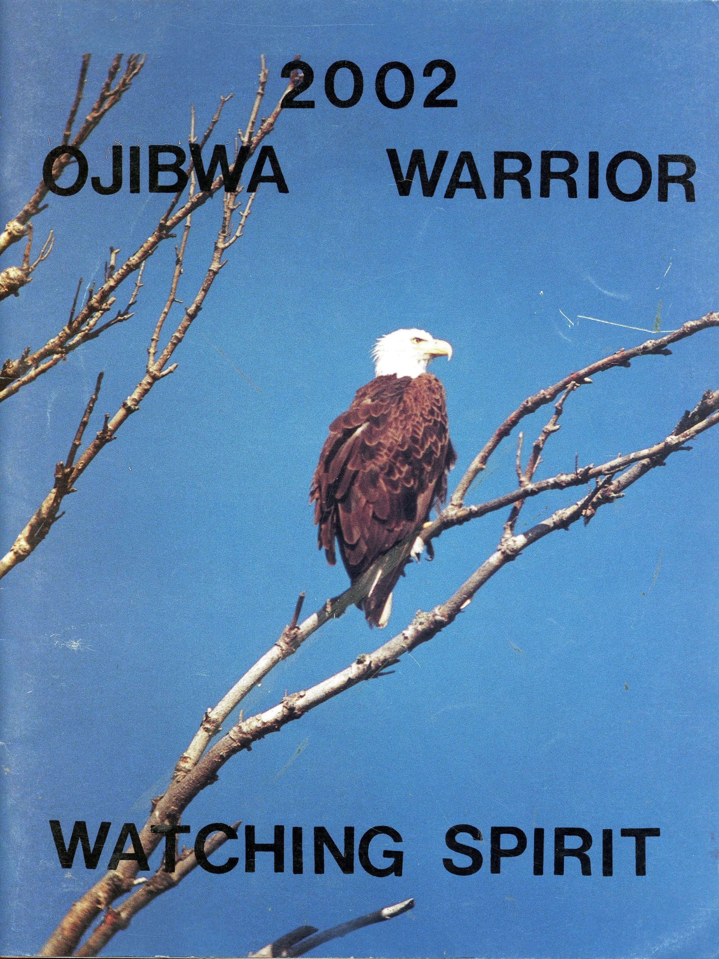 Warrior 2002001.jpg