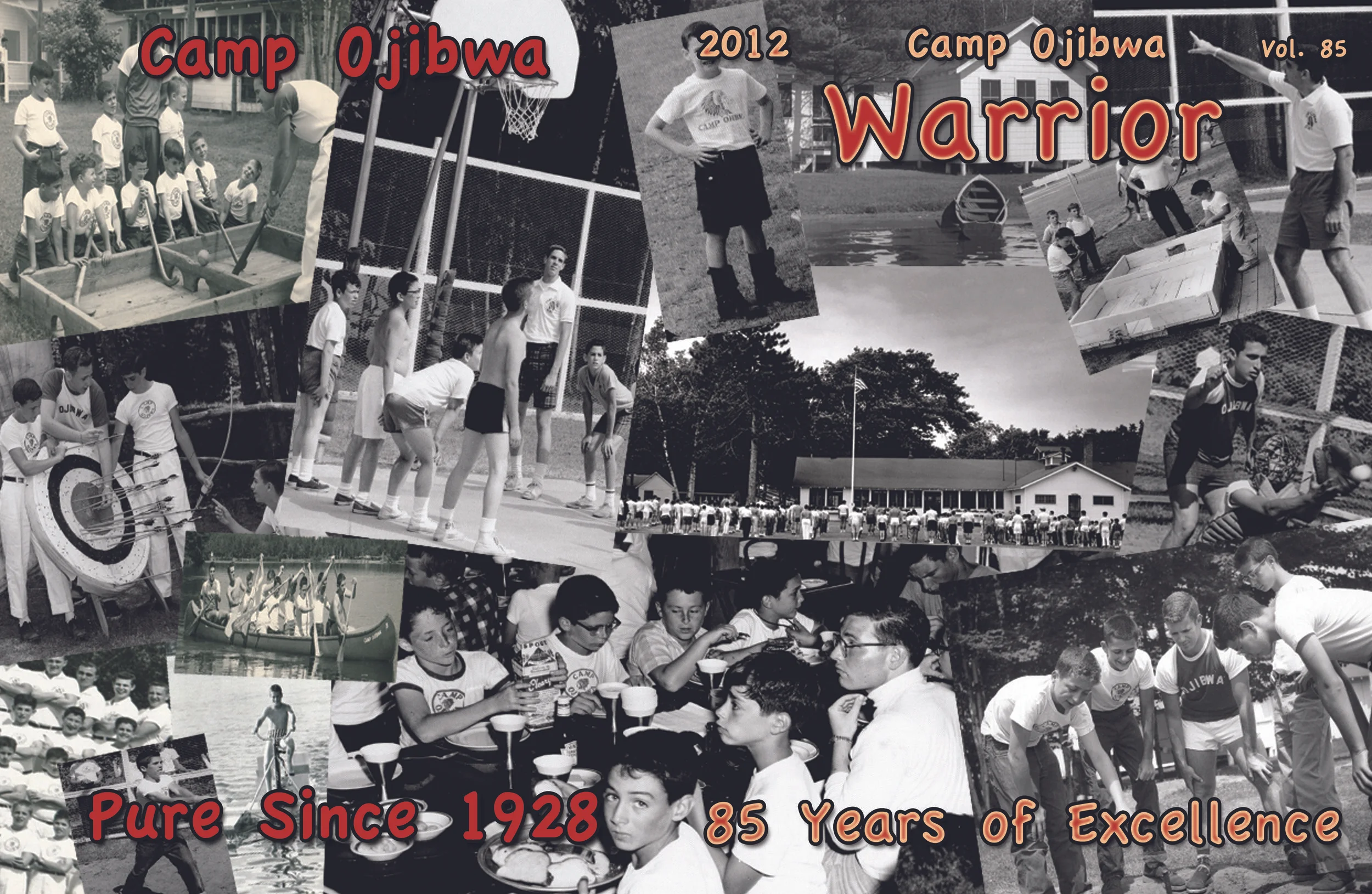 Warrior 2012 Cover.jpg