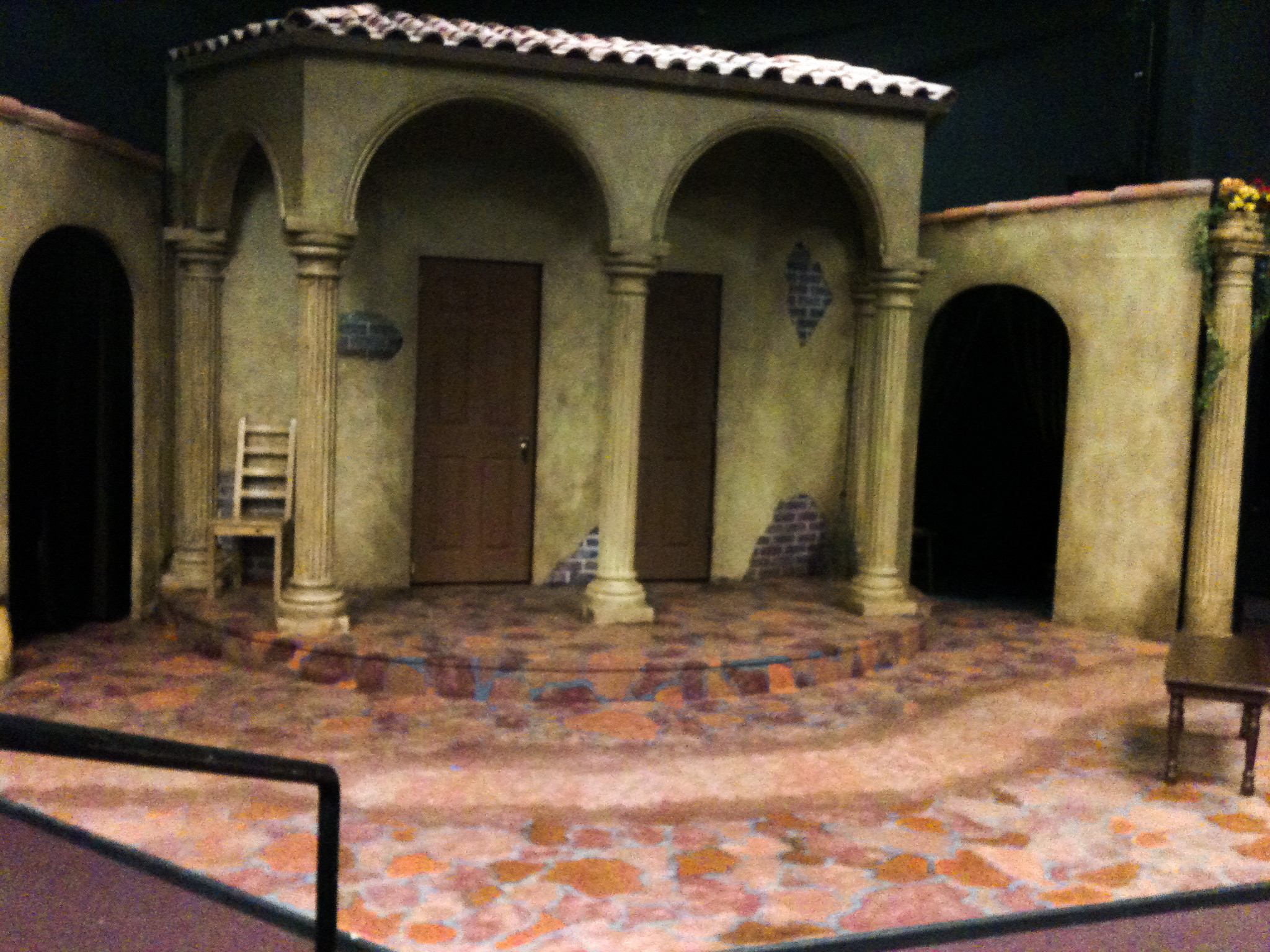  Asst. Scenic Design-&nbsp; The Taming of the Shrew  