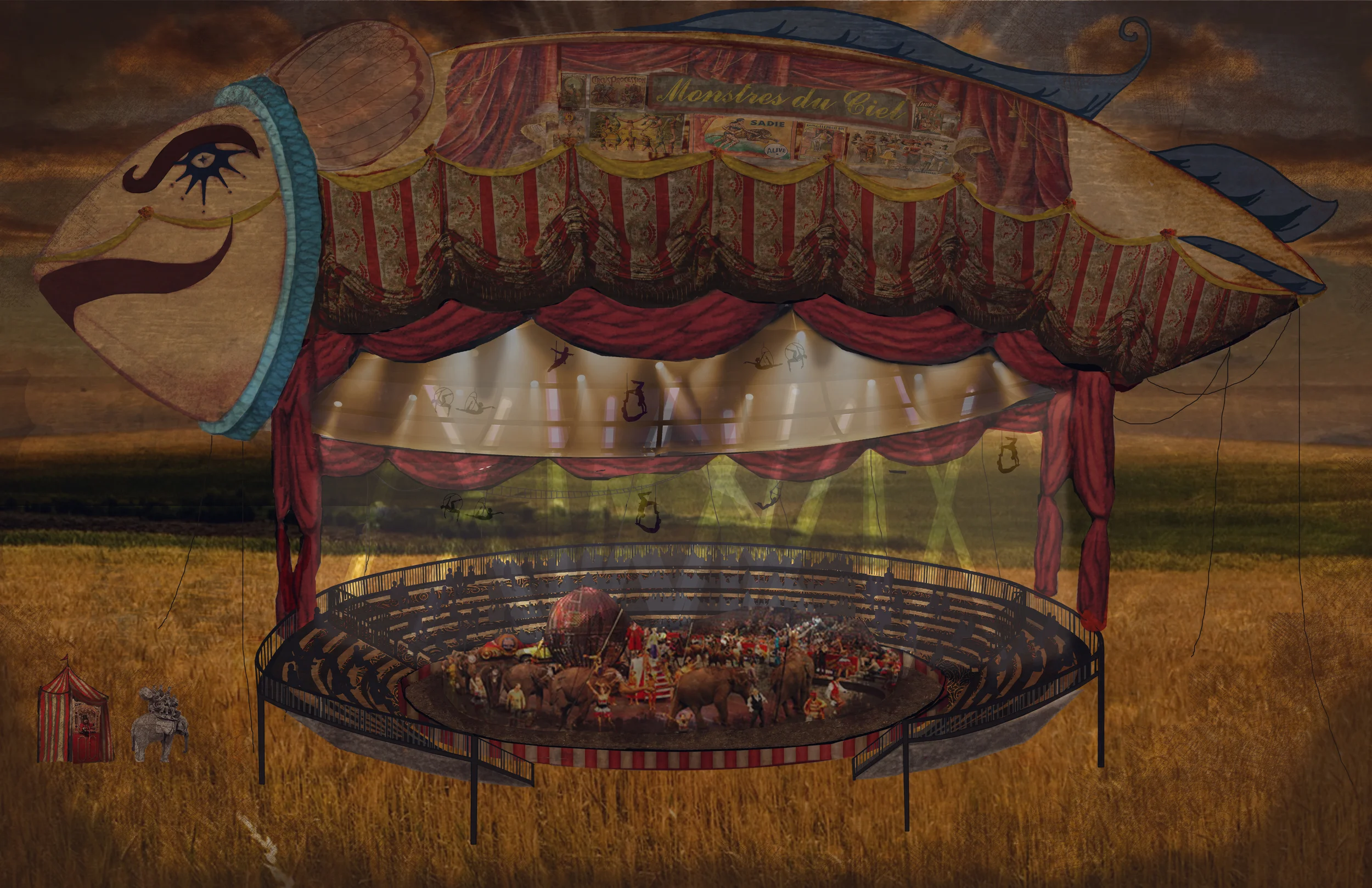 Zeppelin in Field NEW.jpg