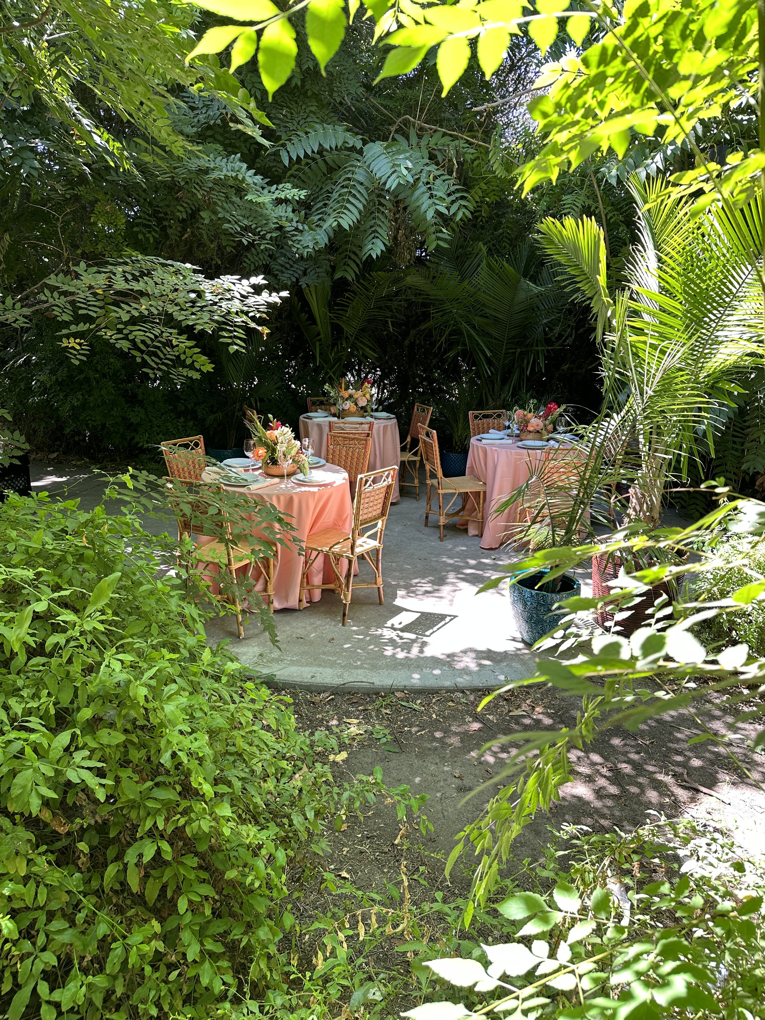 Tropical Miami Restaurant- 2.JPG