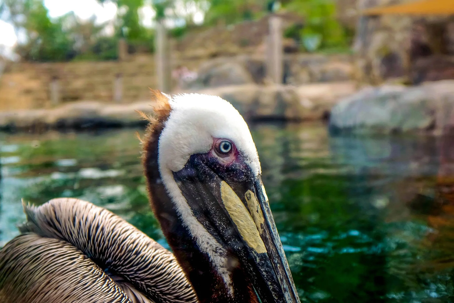 Cristian_Loza_Photography_Animal.jpg