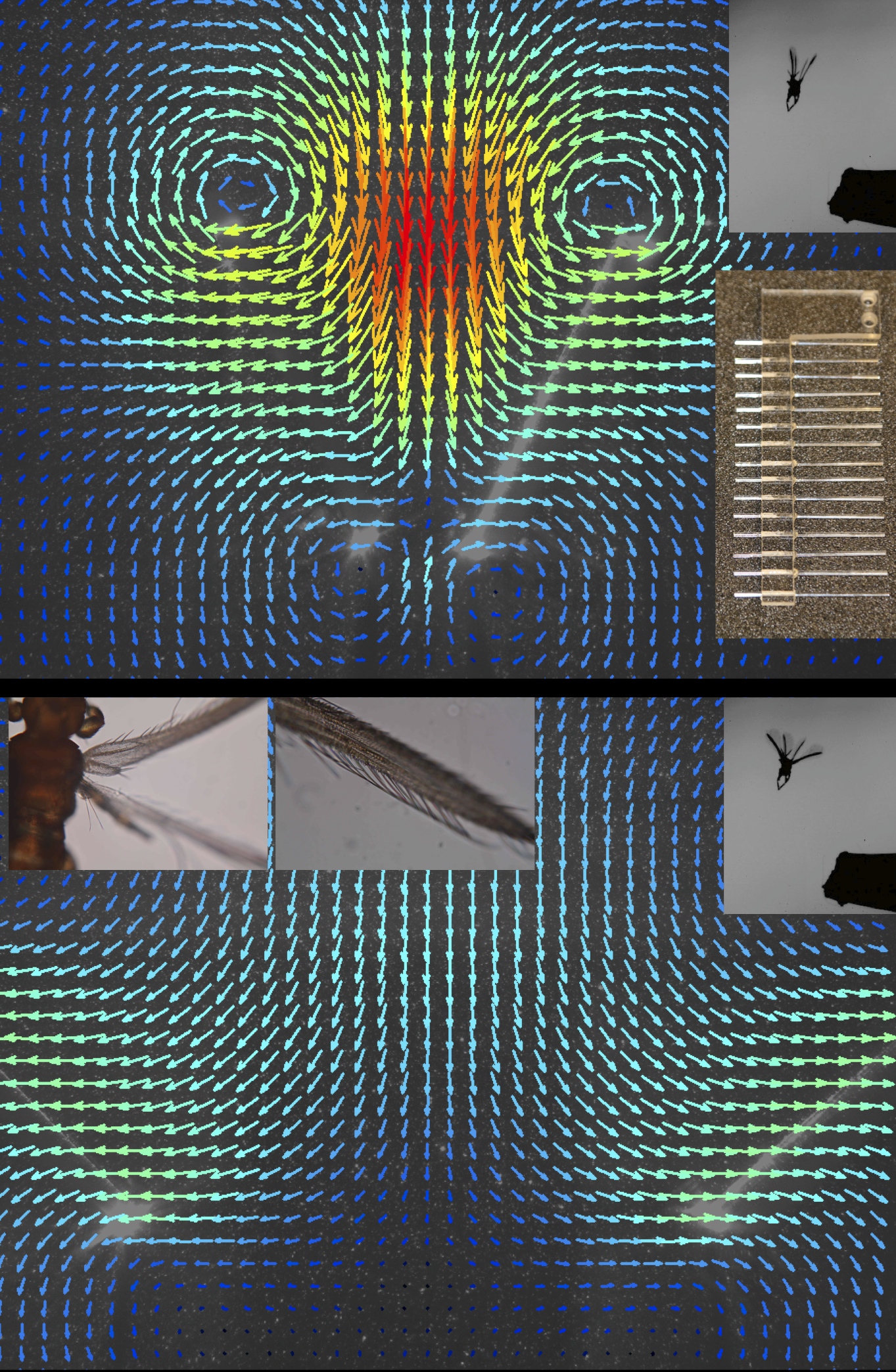 Aerodynamics of Tiny Insect Flight