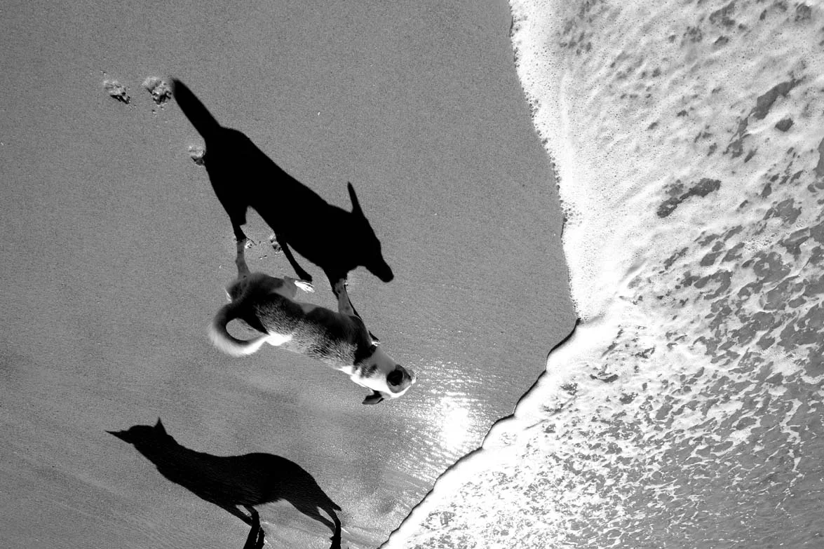 jeddarattyDSCF8321 copy 3.jpg