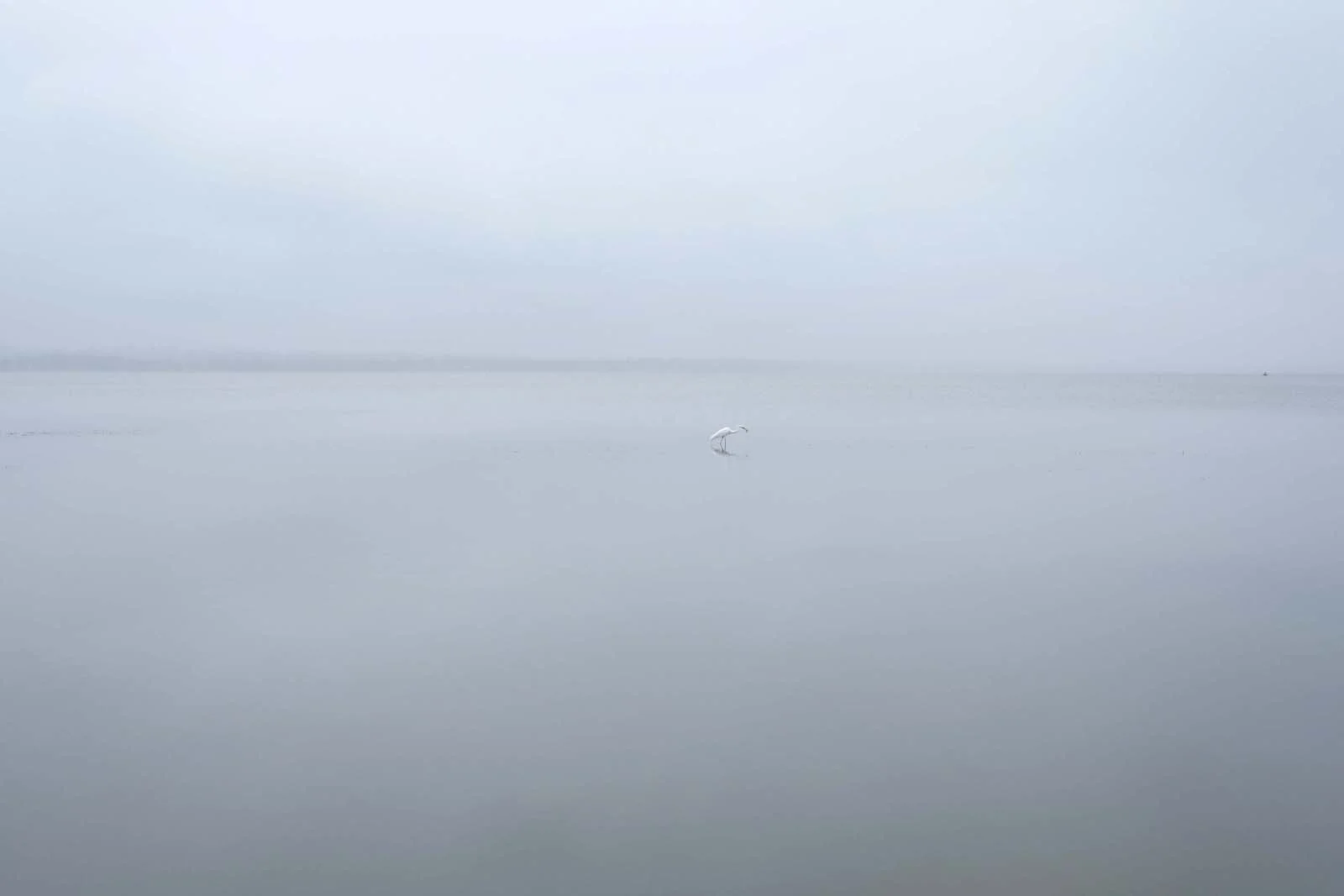 X-T1 LARGE DSCF0138 email web.jpg