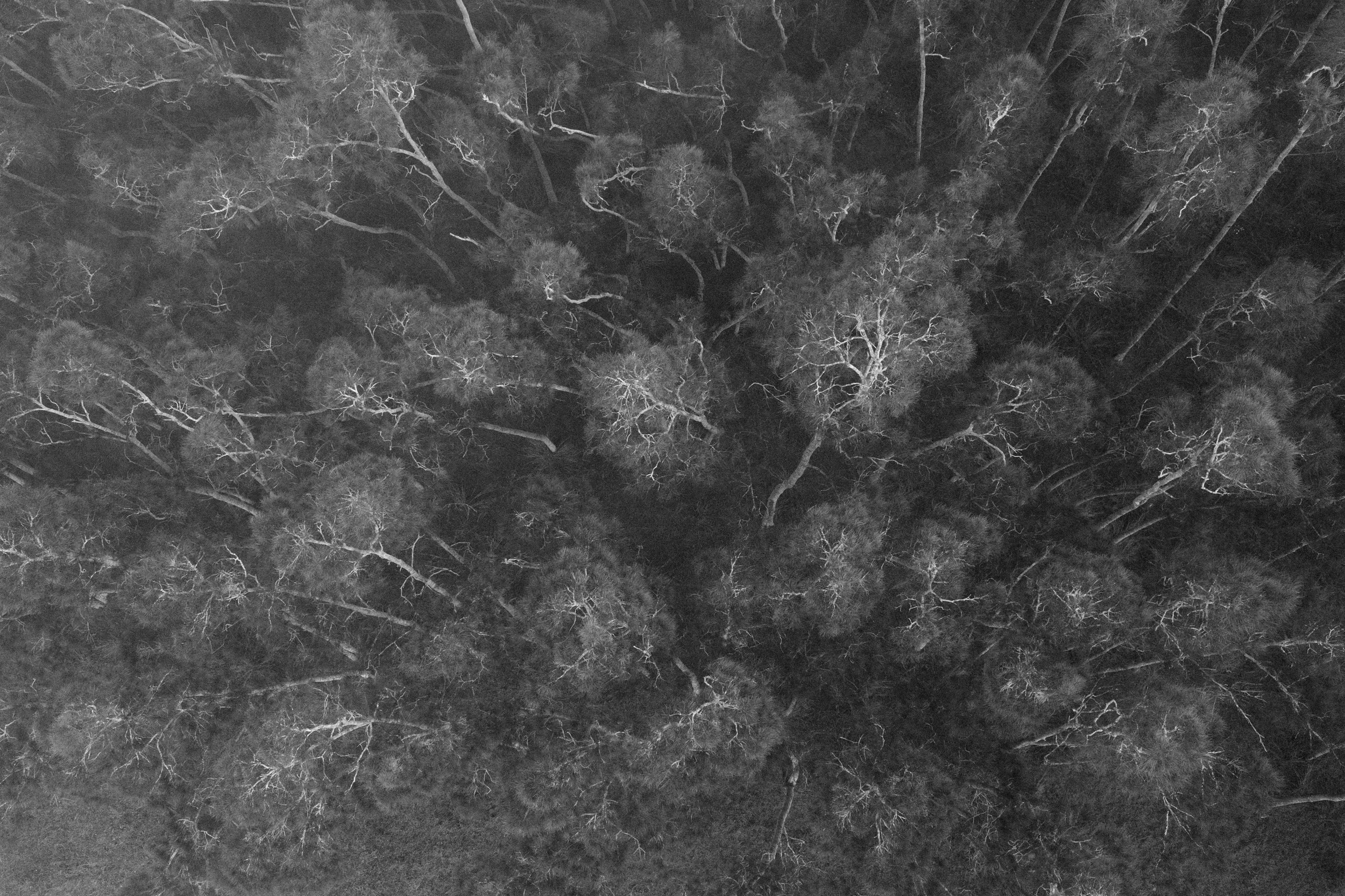 DSCF0621 copy.jpg