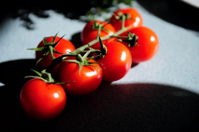 foodtomatoes1.jpg