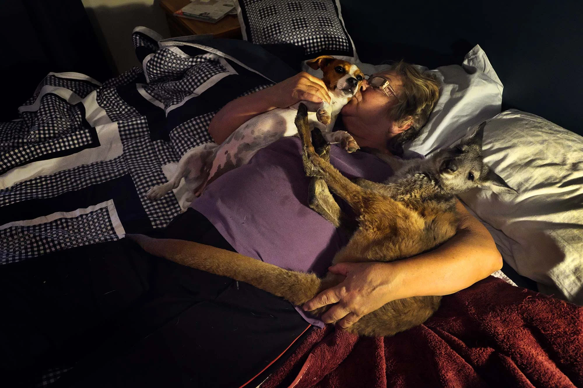 Cassdogroobed.jpg