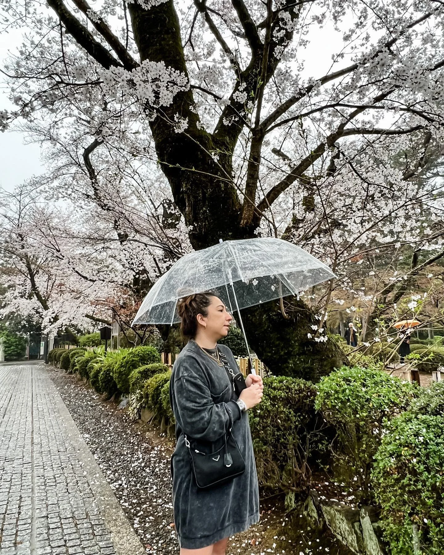 snippets from 🇯🇵 🌸