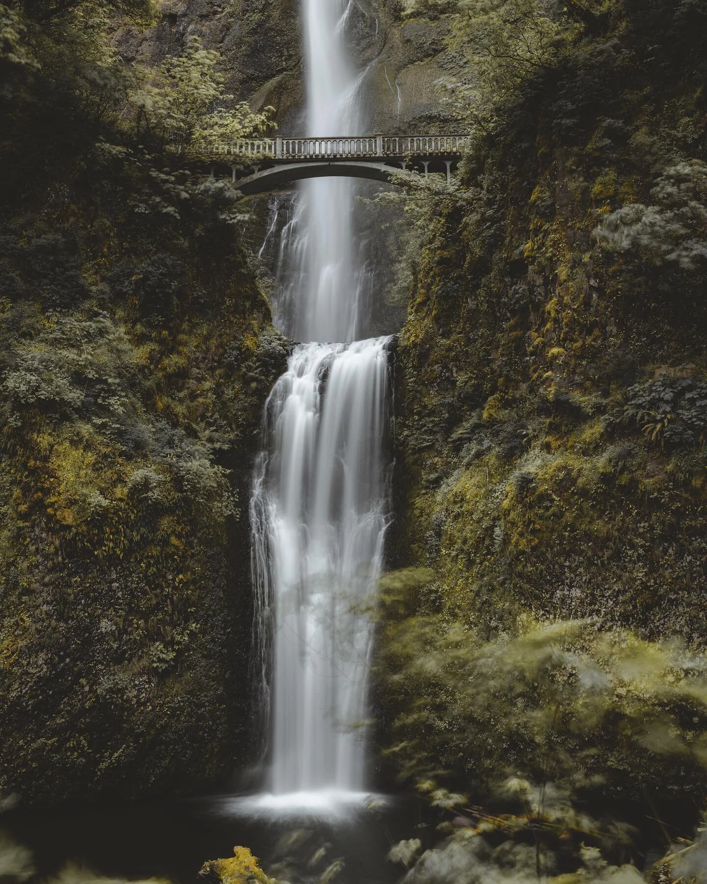 Used a snack bar and a drone battery as a tripod for this shot. My tripod was in the car but this seemed like more fun.
.
.
.
.
.
#pnwonderland #waterfallsofinstagram #oregonexplored #folkgreen #nikonphotography #earthpix #natureaddict #beautifuldest