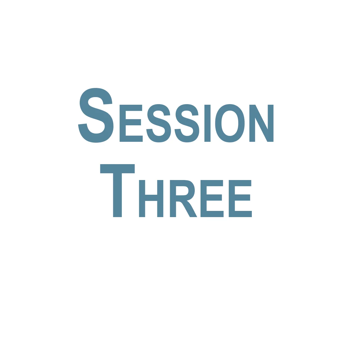 Session Three.jpg