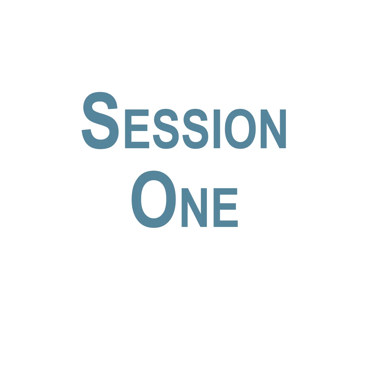 Session 1.jpg