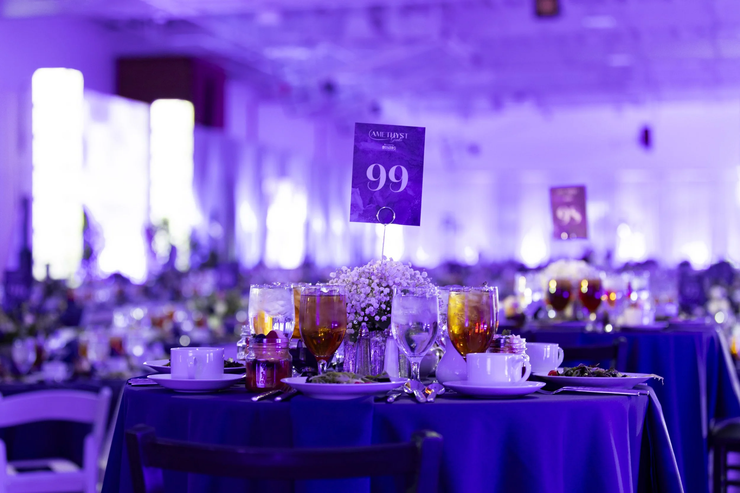 Amythest_Gala-0017.jpg