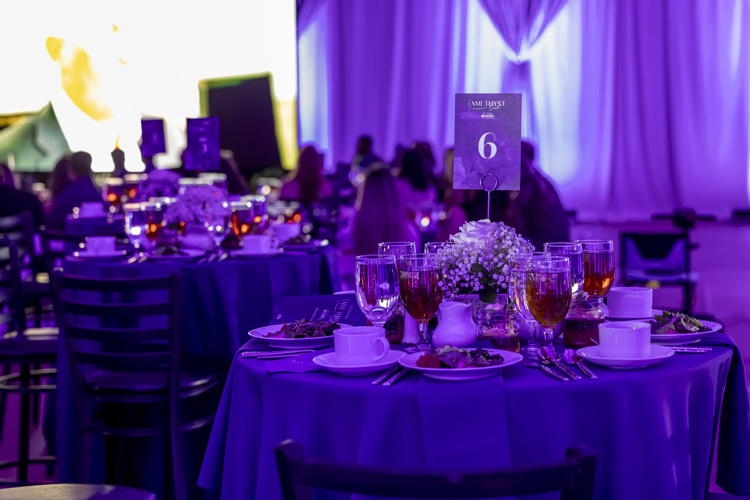 Amythest_Gala-0062.jpg