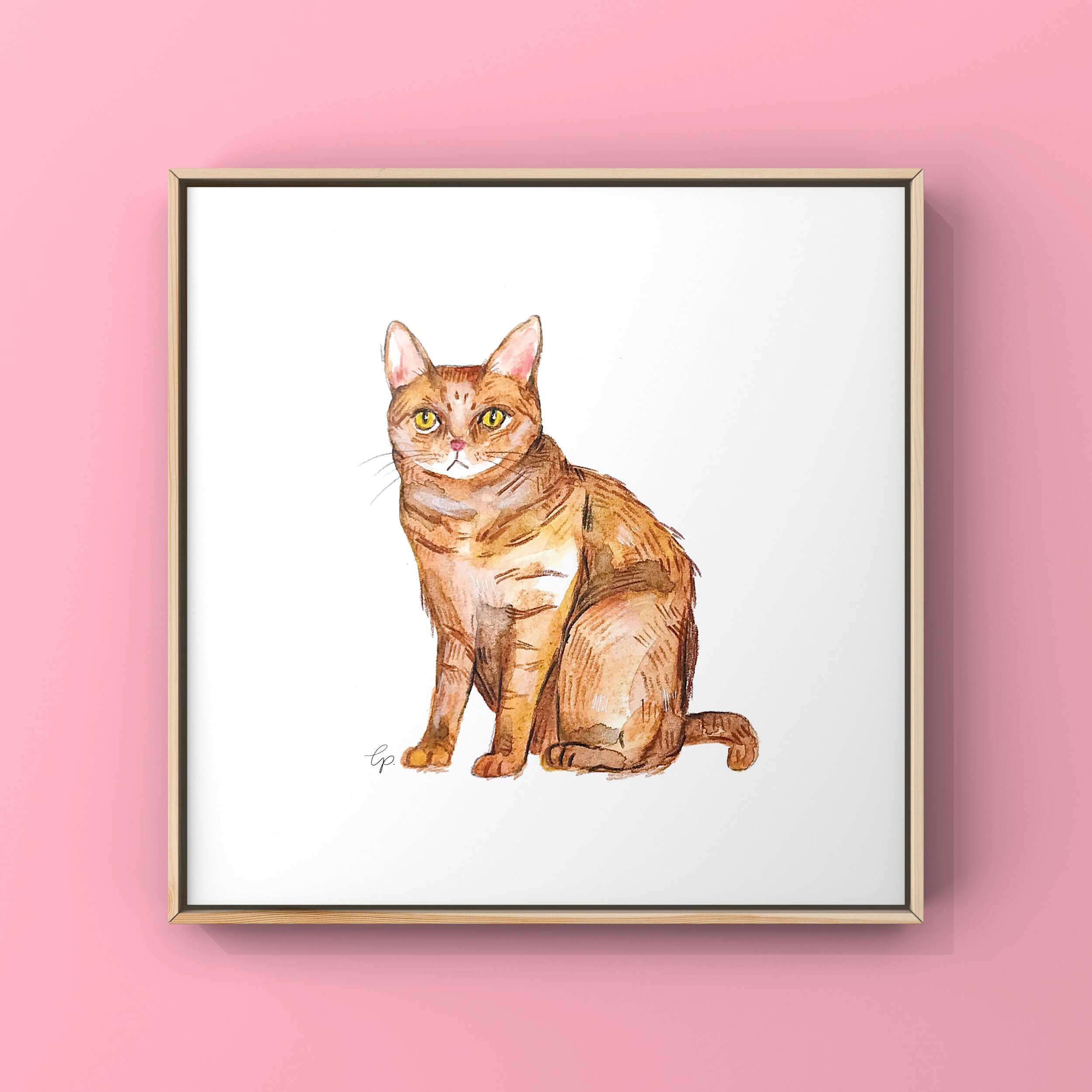 cat_framed.JPG