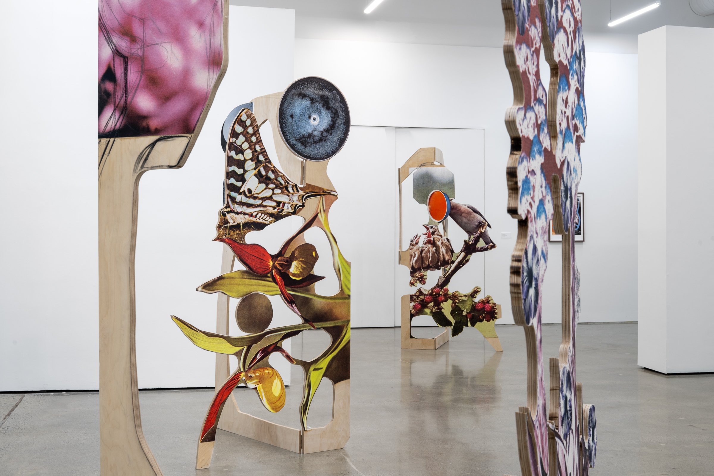 Cameron Kerr: Collecting the Unconscious, 2026