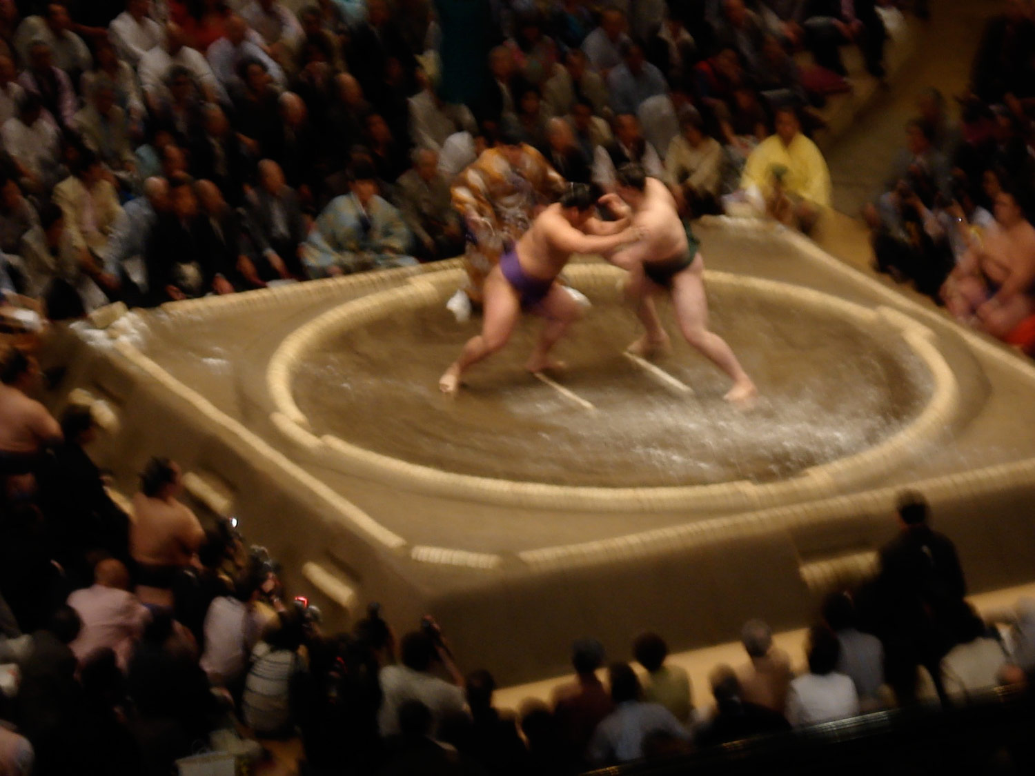 2007_Sumo_photo1.jpg