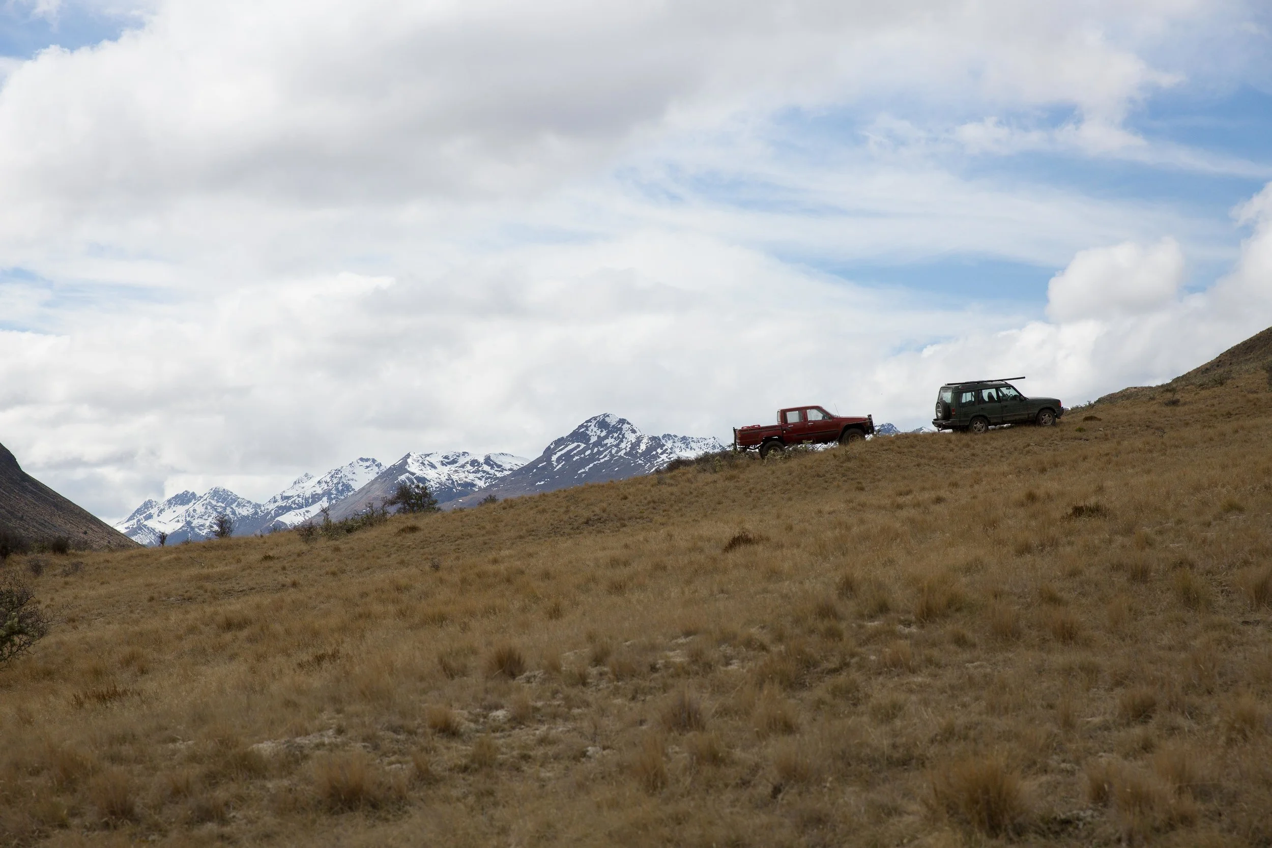 3P1A3444.jpg