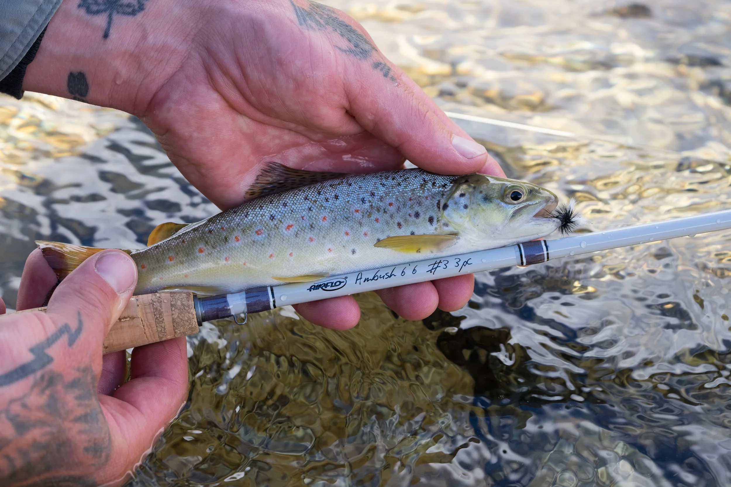 FishingSeason2017-18-JKPhoto-115.jpg