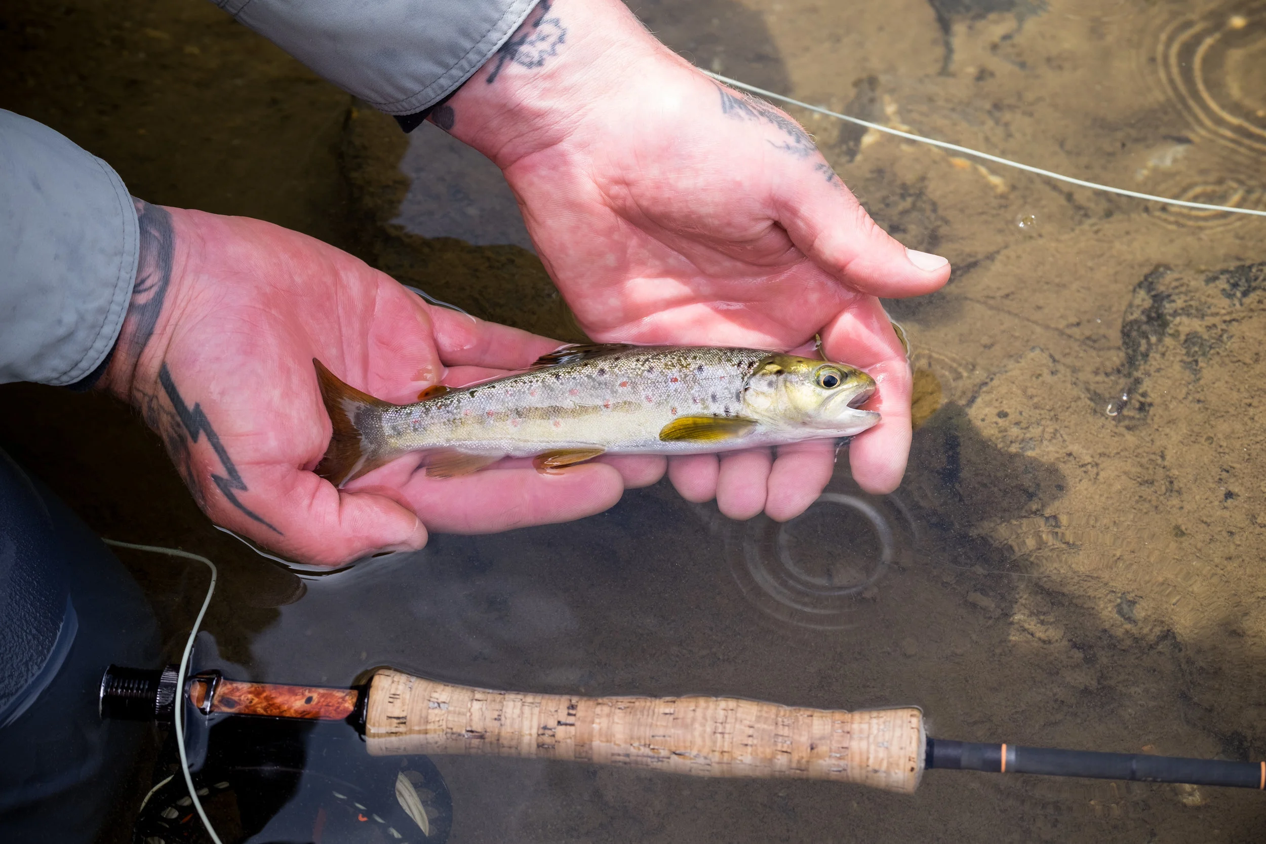 FishingSeason2017-18-JKPhoto-47.jpg