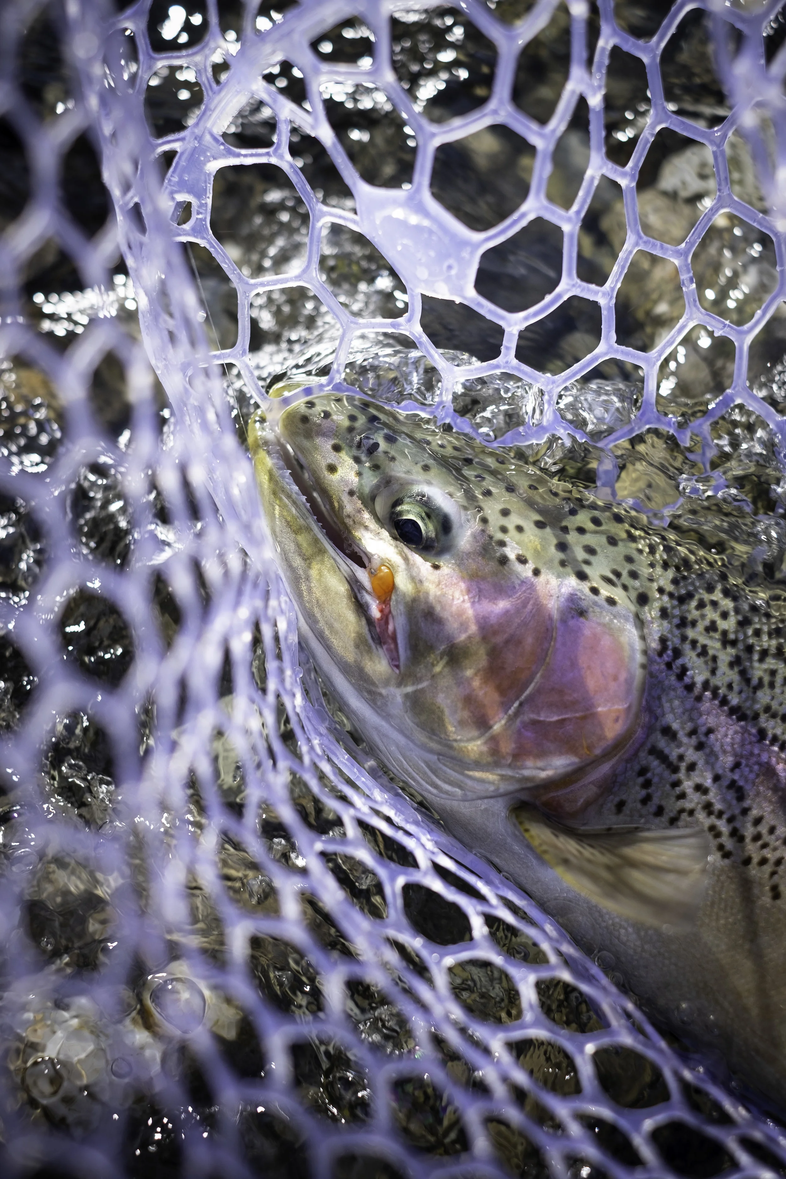 FishingSeason2018-JKPhoto-72.jpg