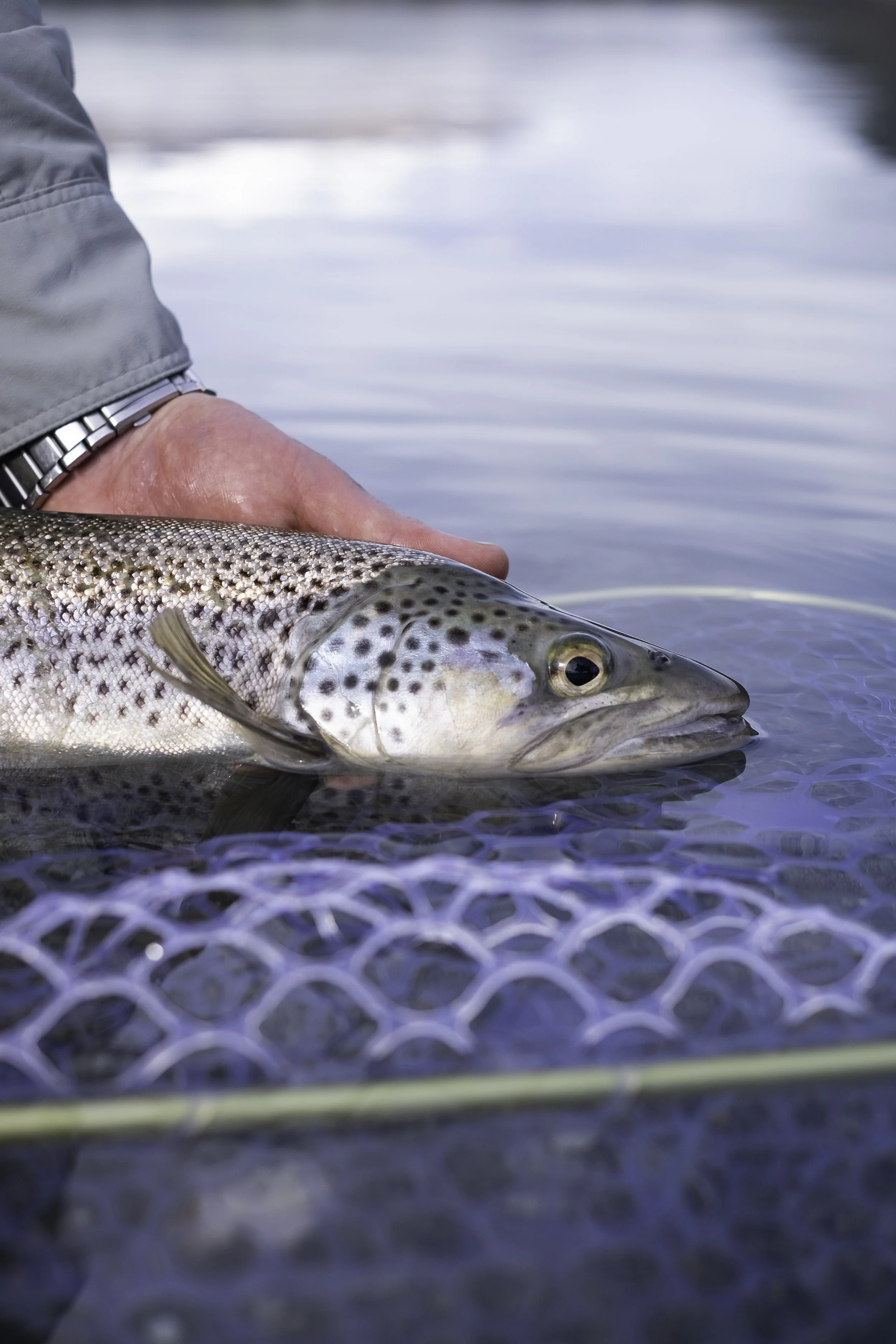 Fishingseason2018-JKPhoto-38.jpg