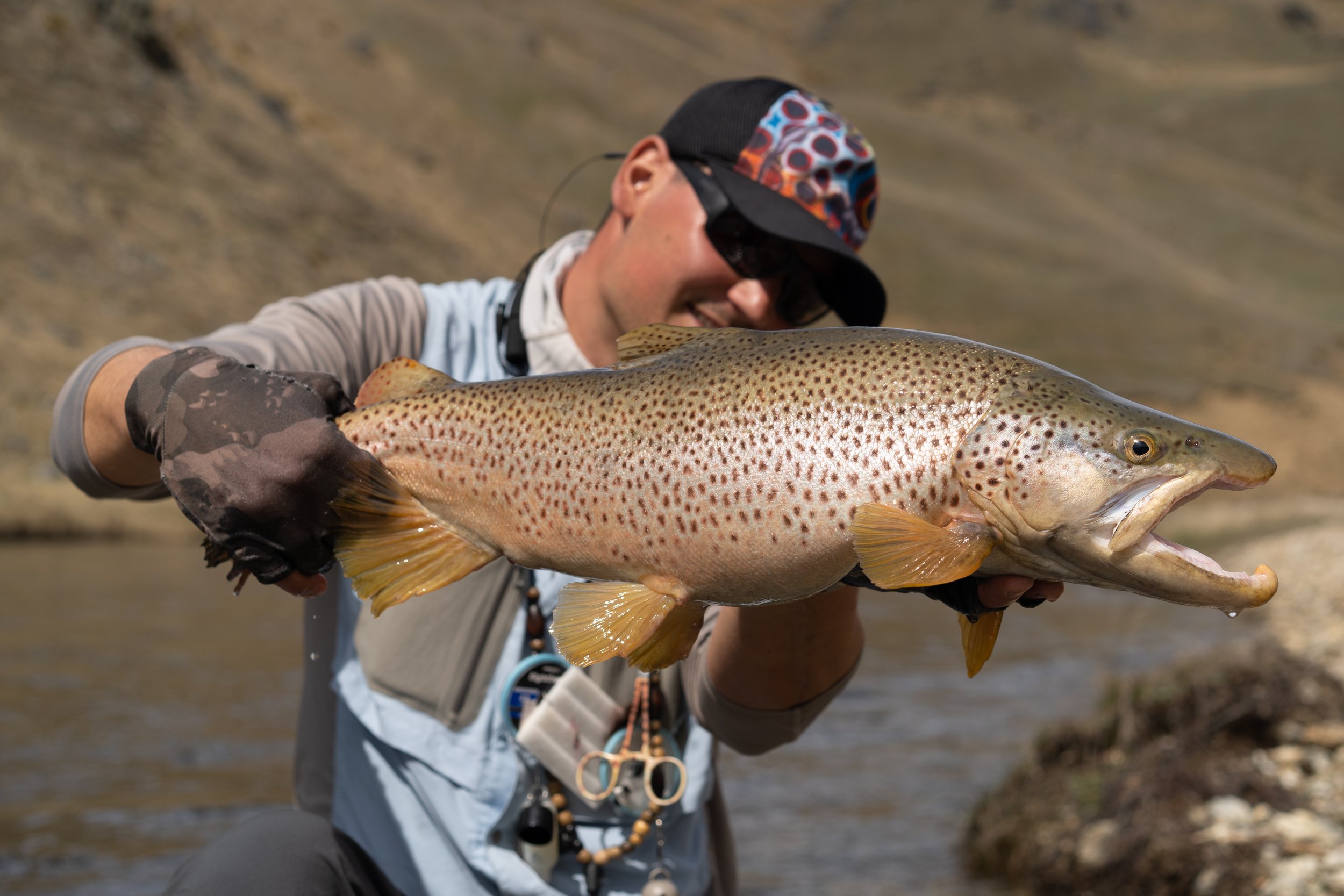 Person holding a large, colorful fish outdoors near water, wearing sunglasses, a cap, and gloves.