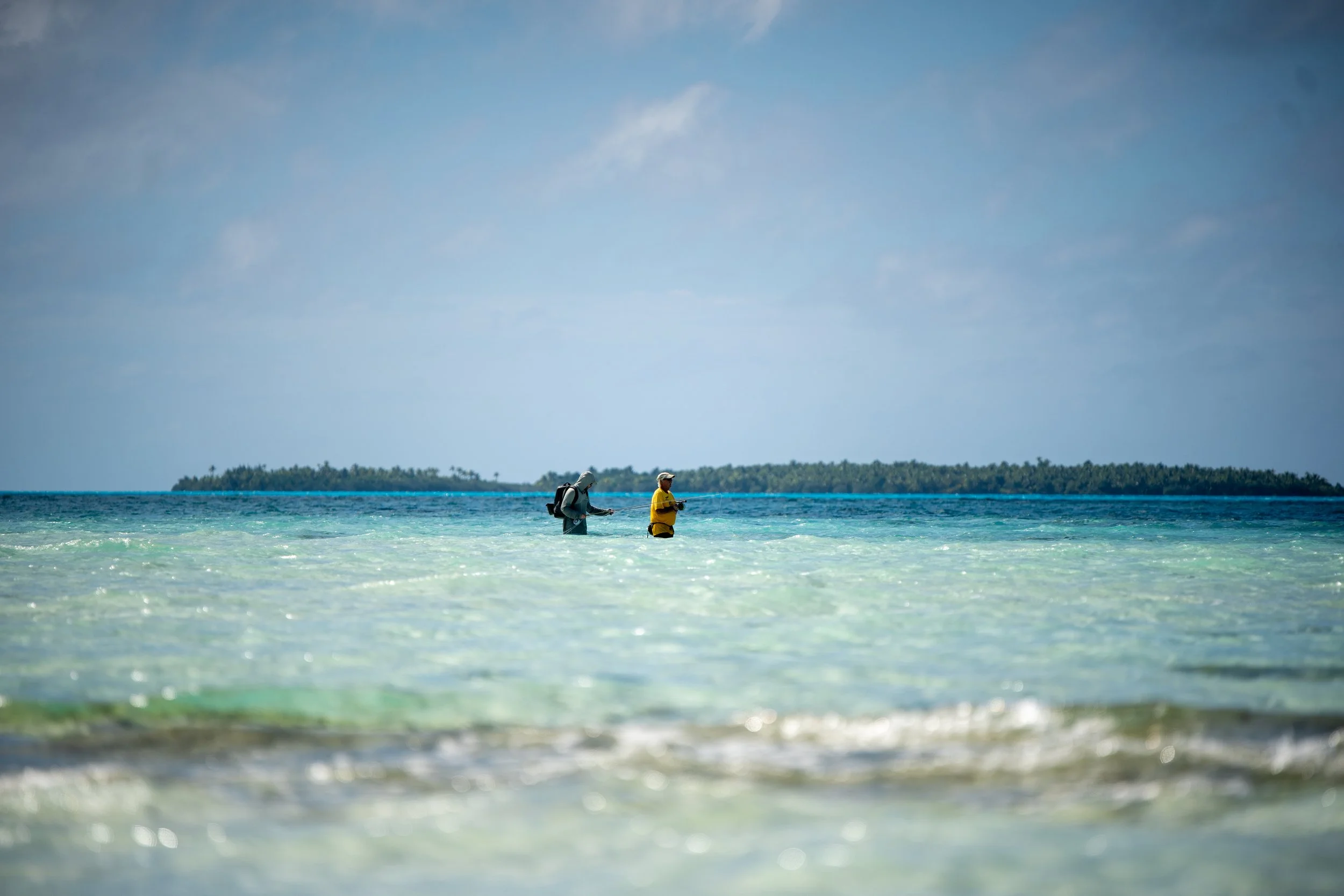 _DSC9516.jpg