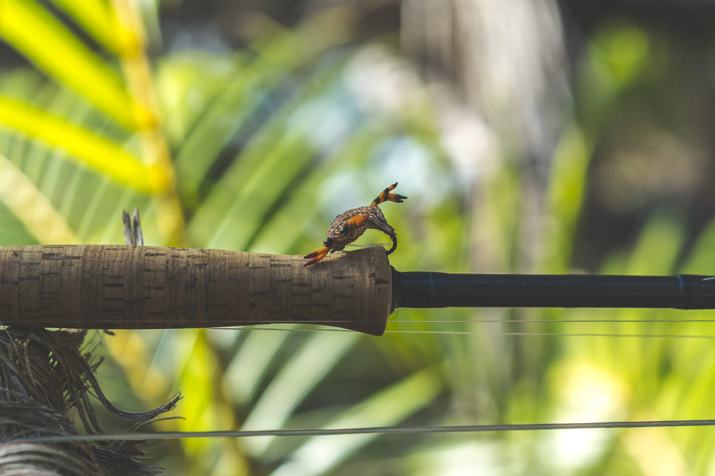 Close-up of a bee on a wooden surface with a blurred green leafy background.
