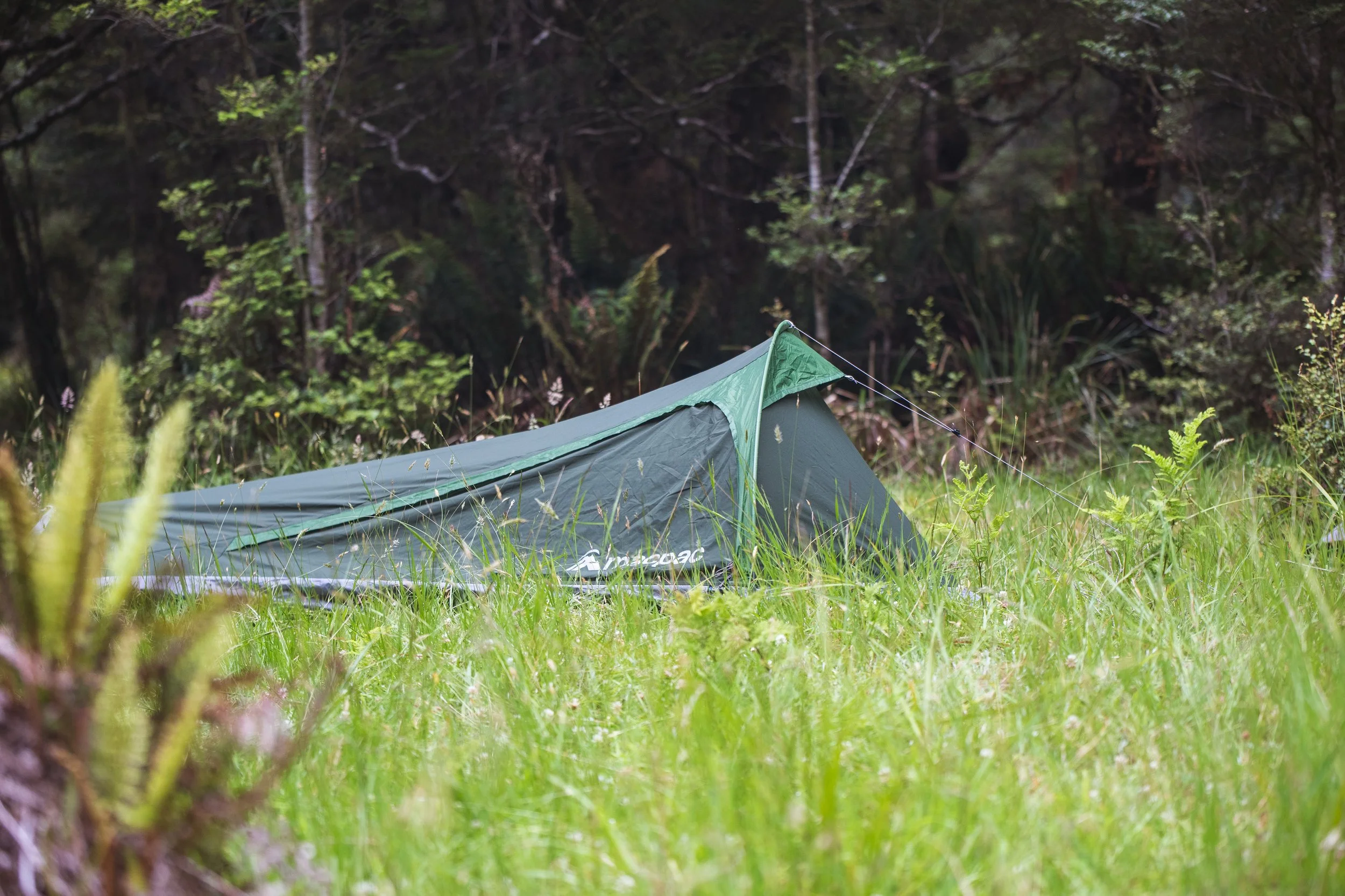 _DSC6061.jpg