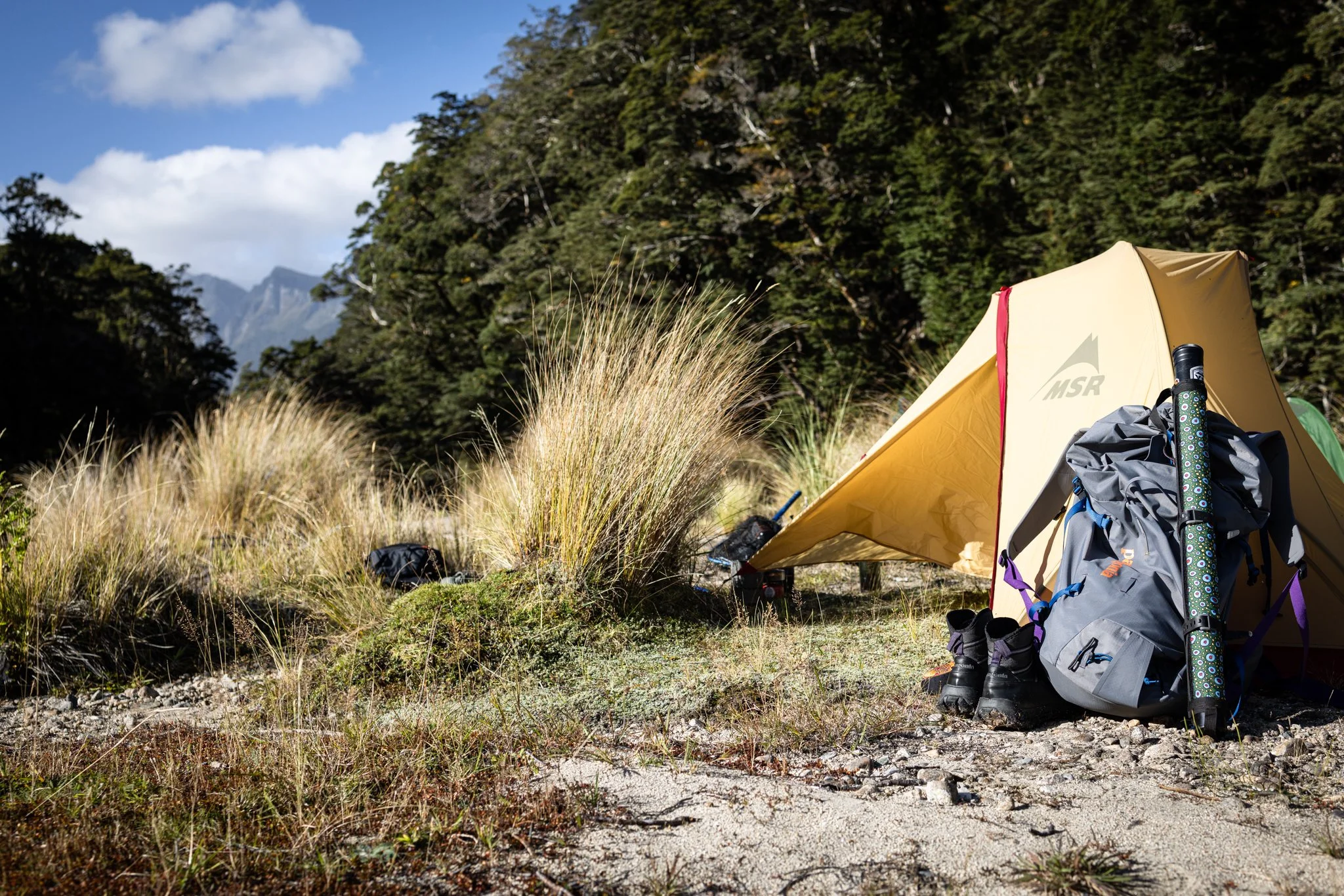 A camping tent and backpacks set up in a grassy outdoor area surrounded by trees, with mountains and a blue sky in the background.